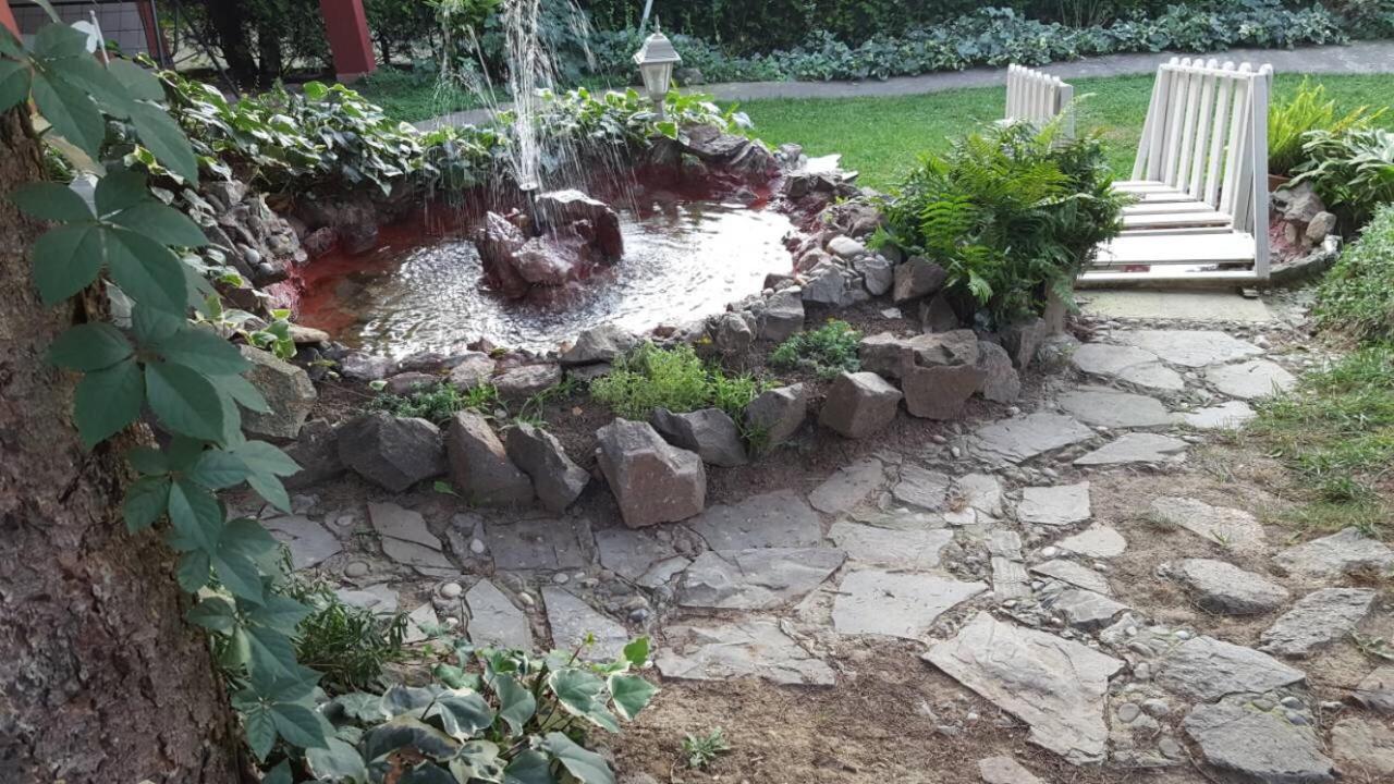Photo 8