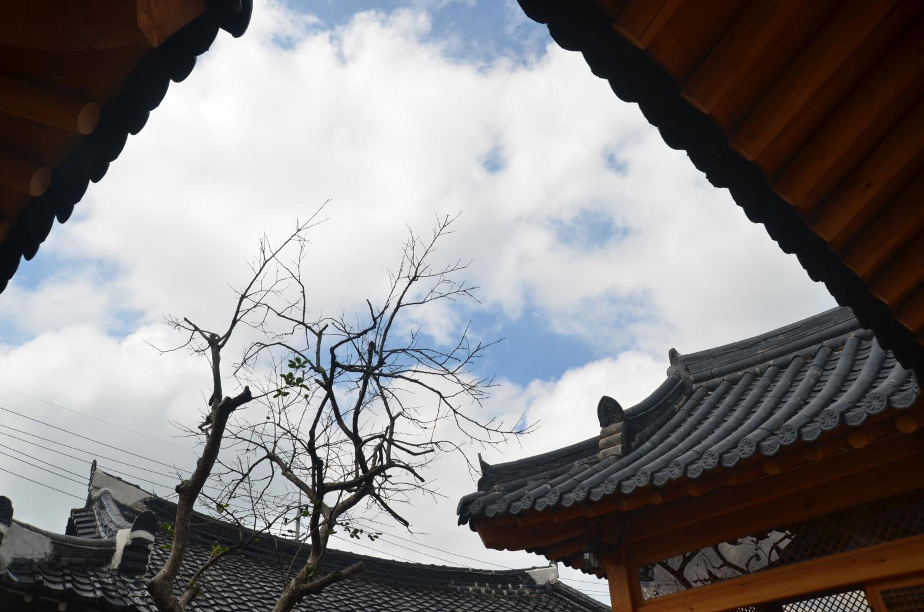 Sarangroo