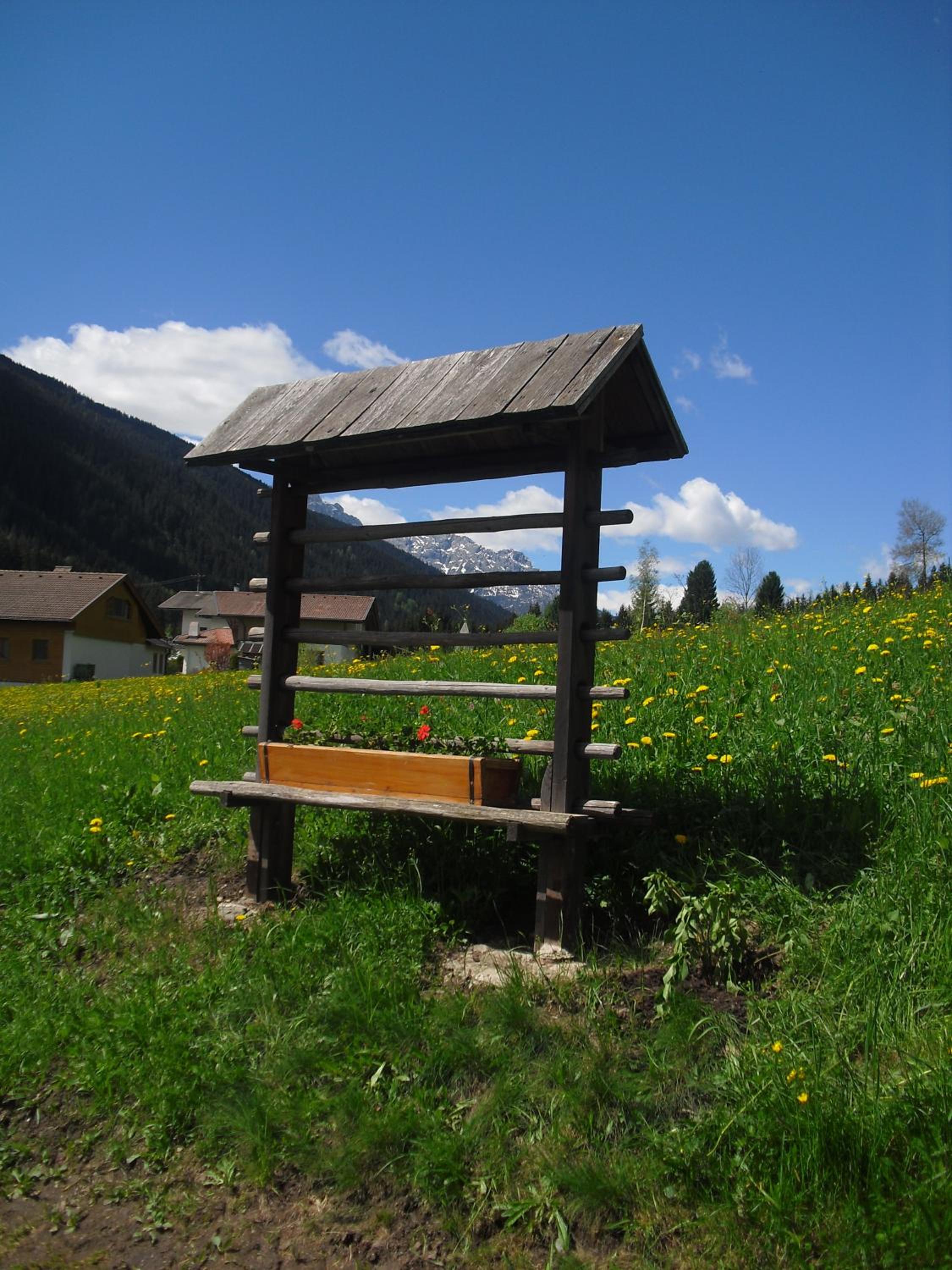 Photo 11