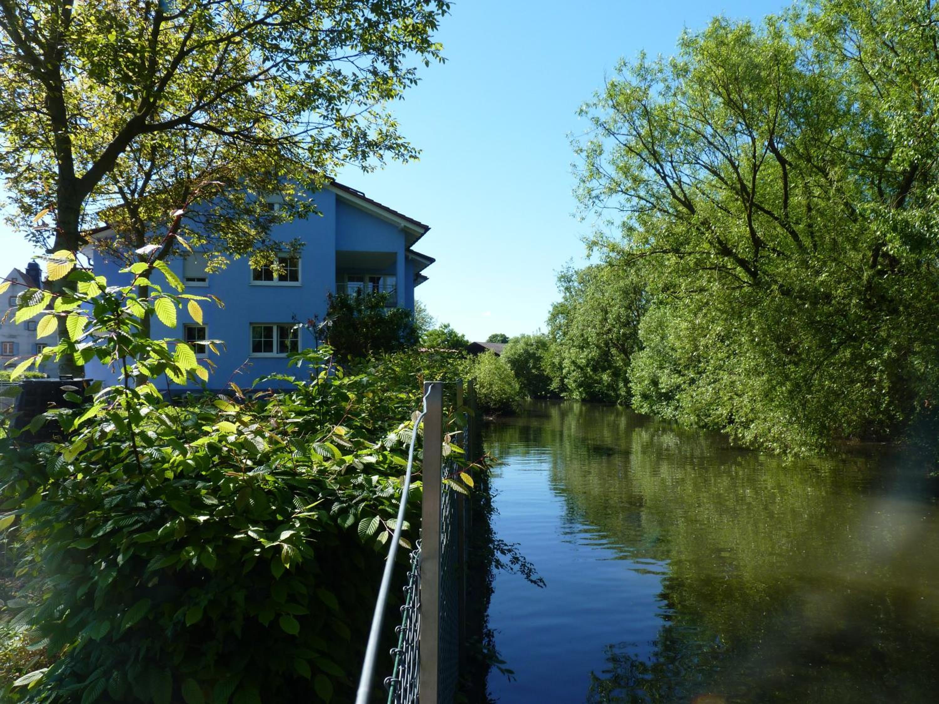 Photo 42