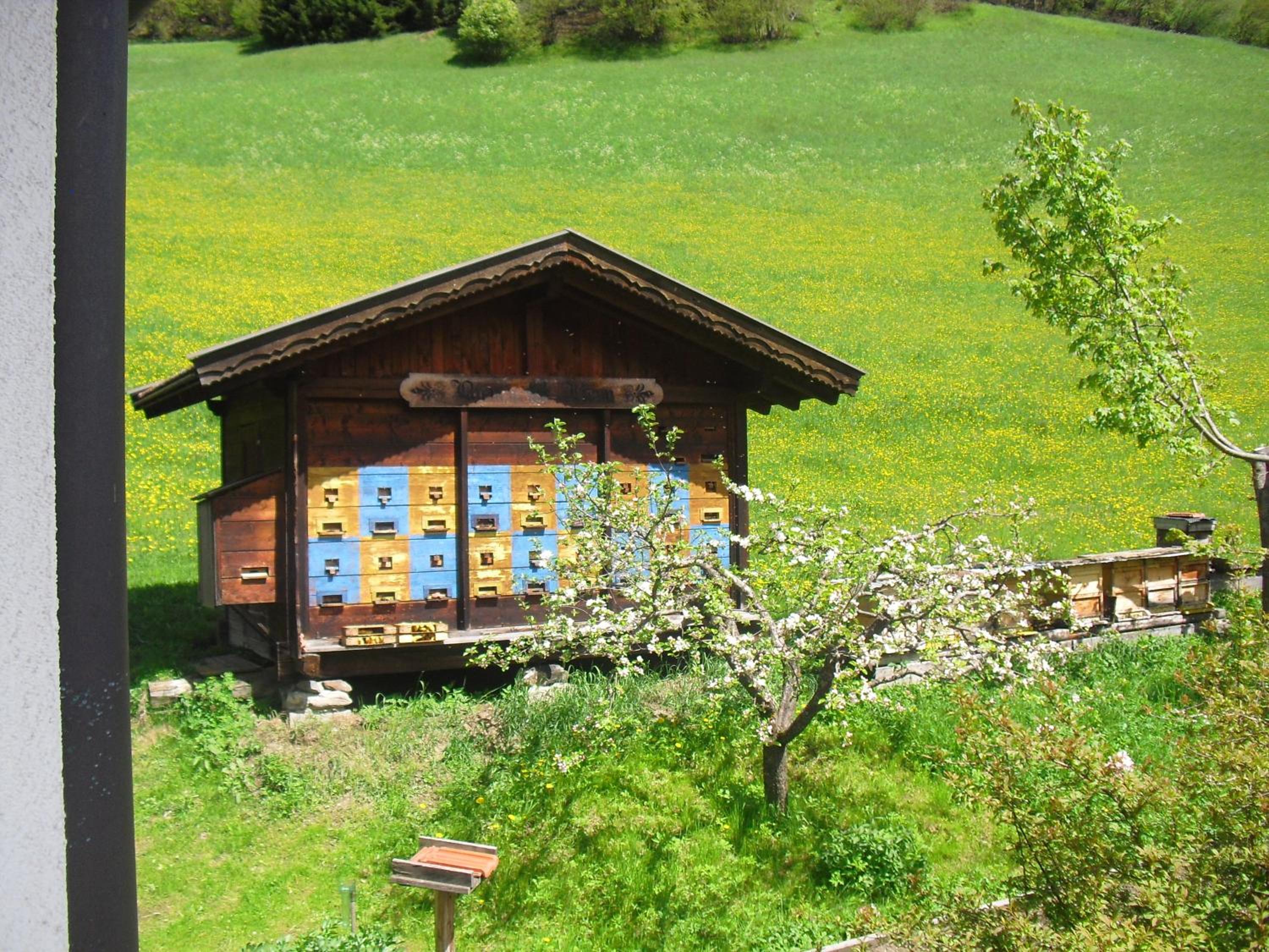 Photo 12