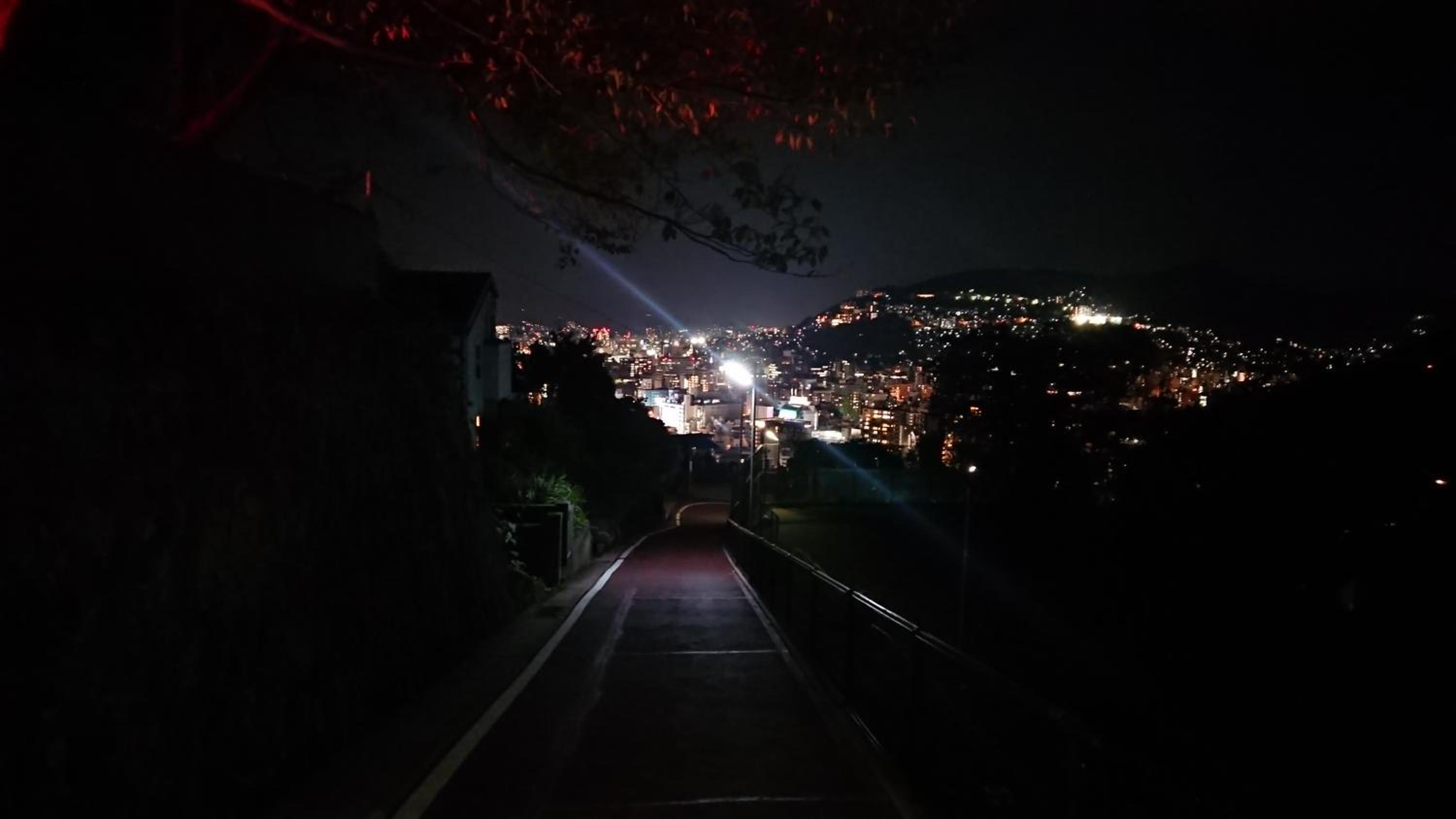 Photo 42