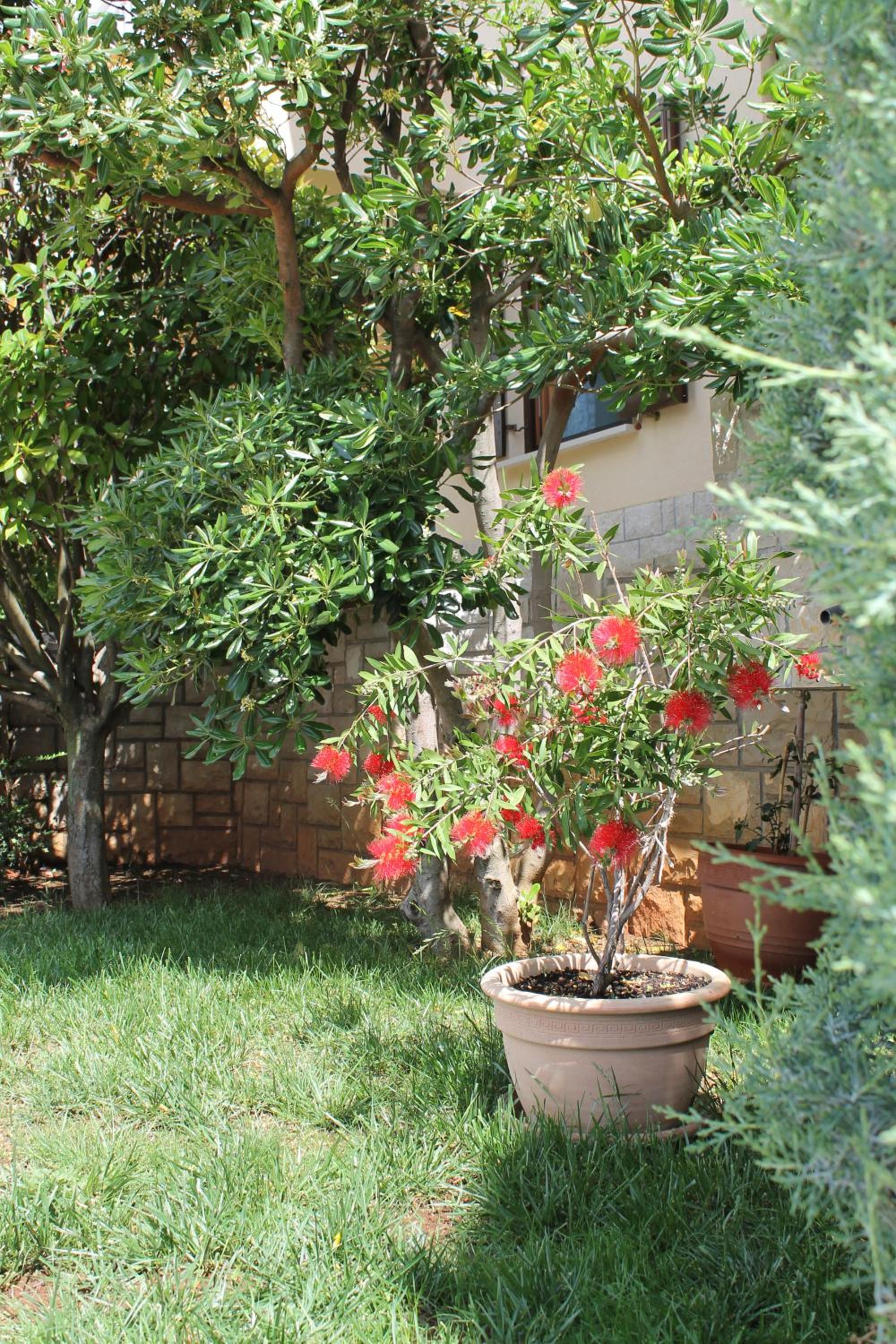 Photo 43