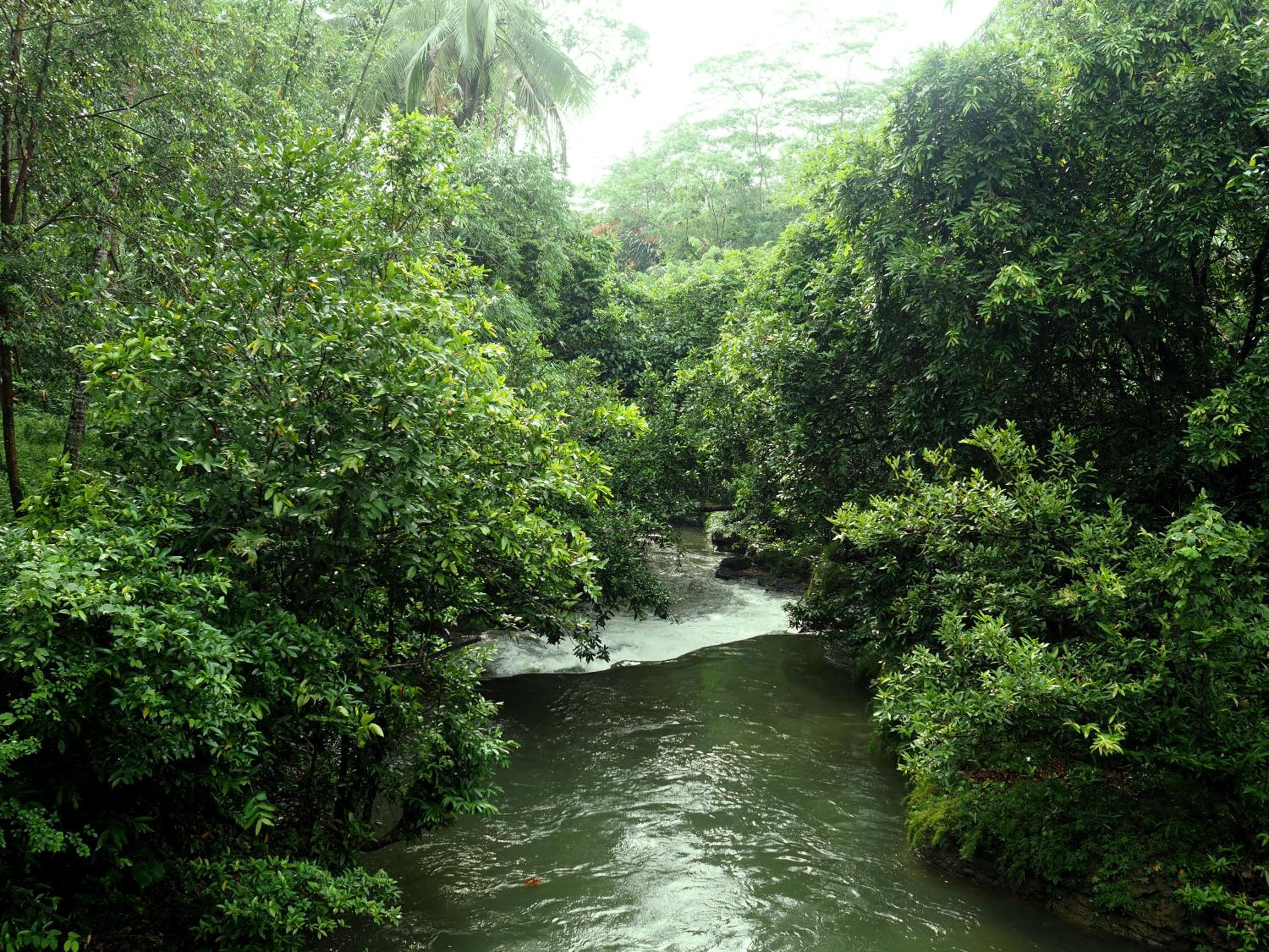 Hau Eco Lodges Citumang Pangandaran