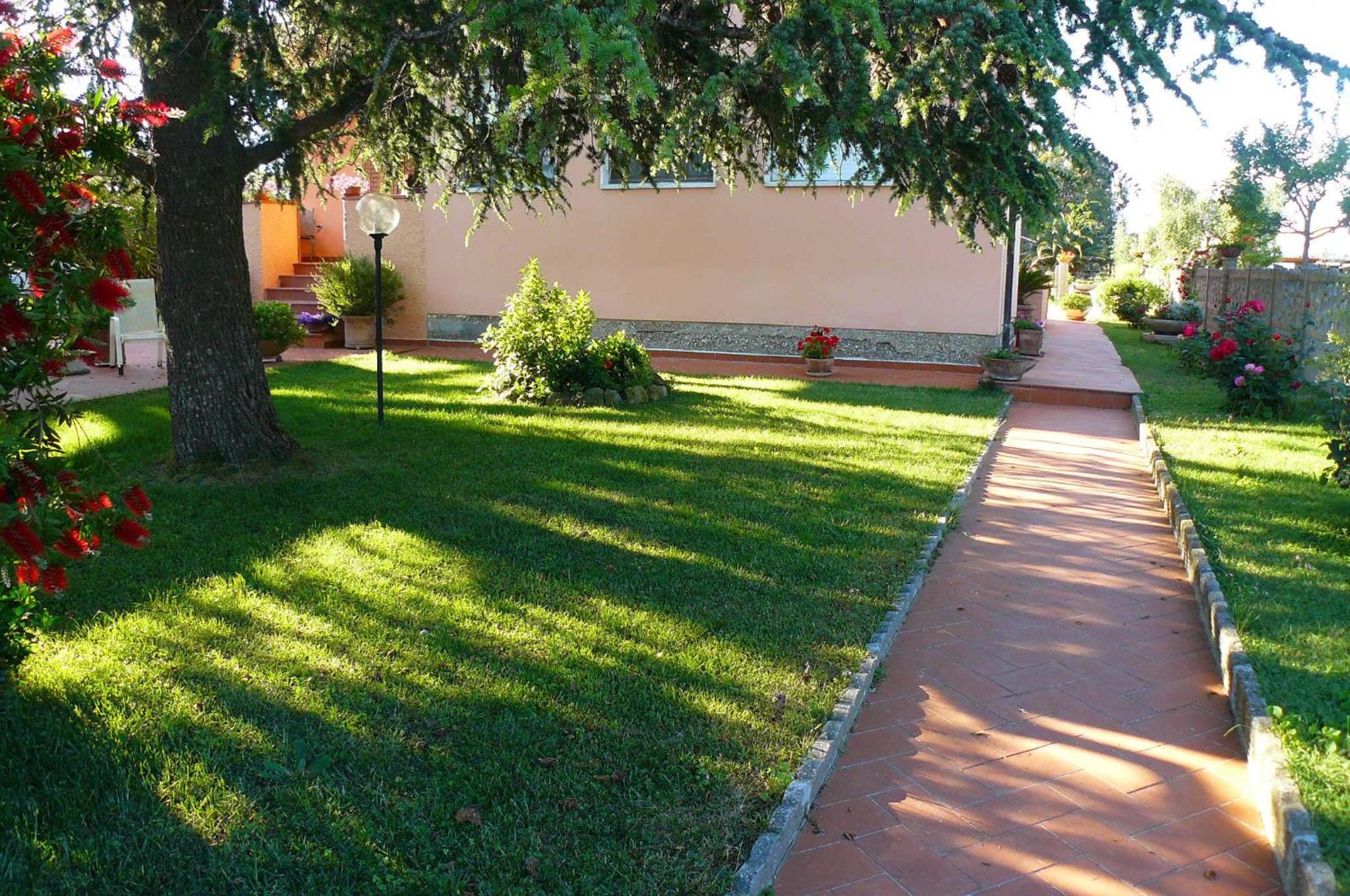 La Mimosa