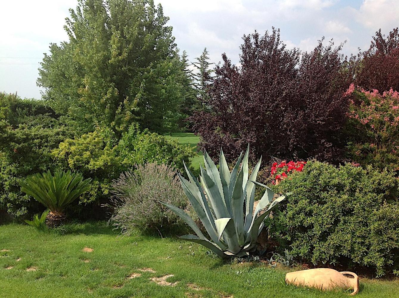 Photo 6