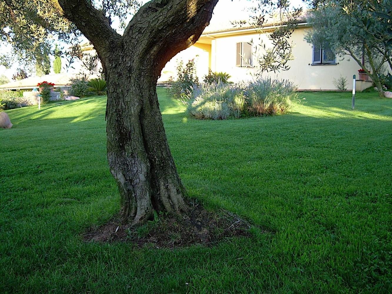 Photo 30