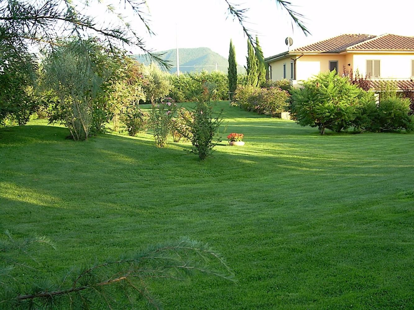 Photo 33
