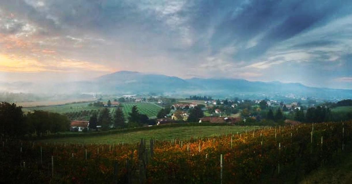Agriturismo Poderi Zunino