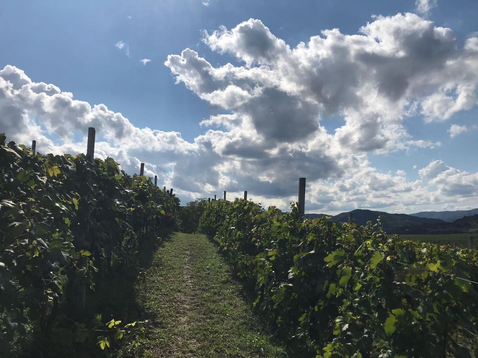 Agriturismo Poderi Zunino