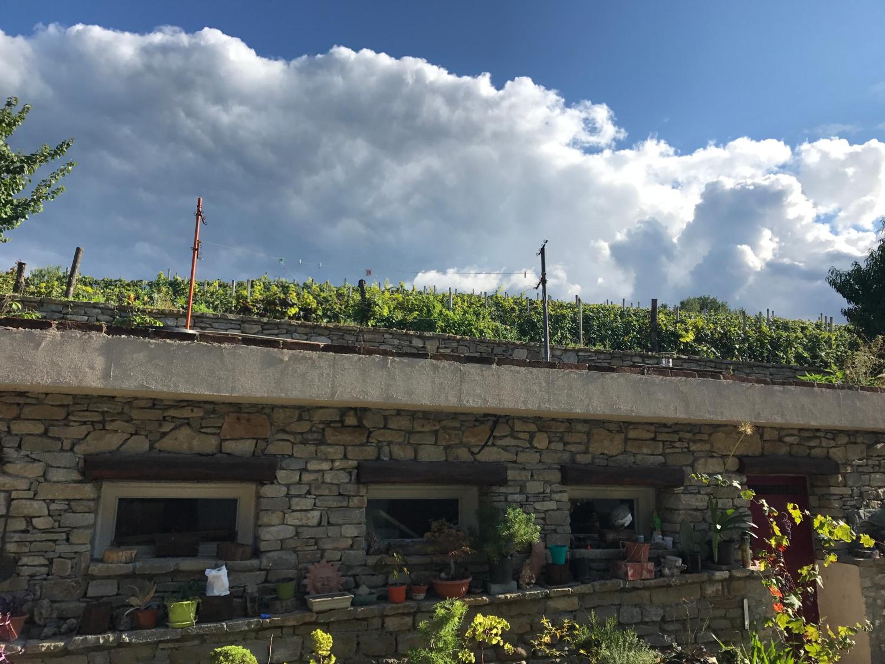 Agriturismo Poderi Zunino