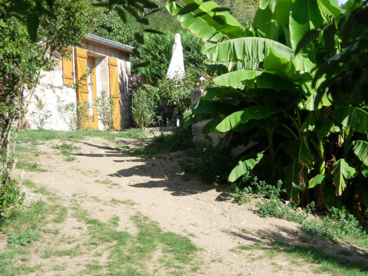Photo 38