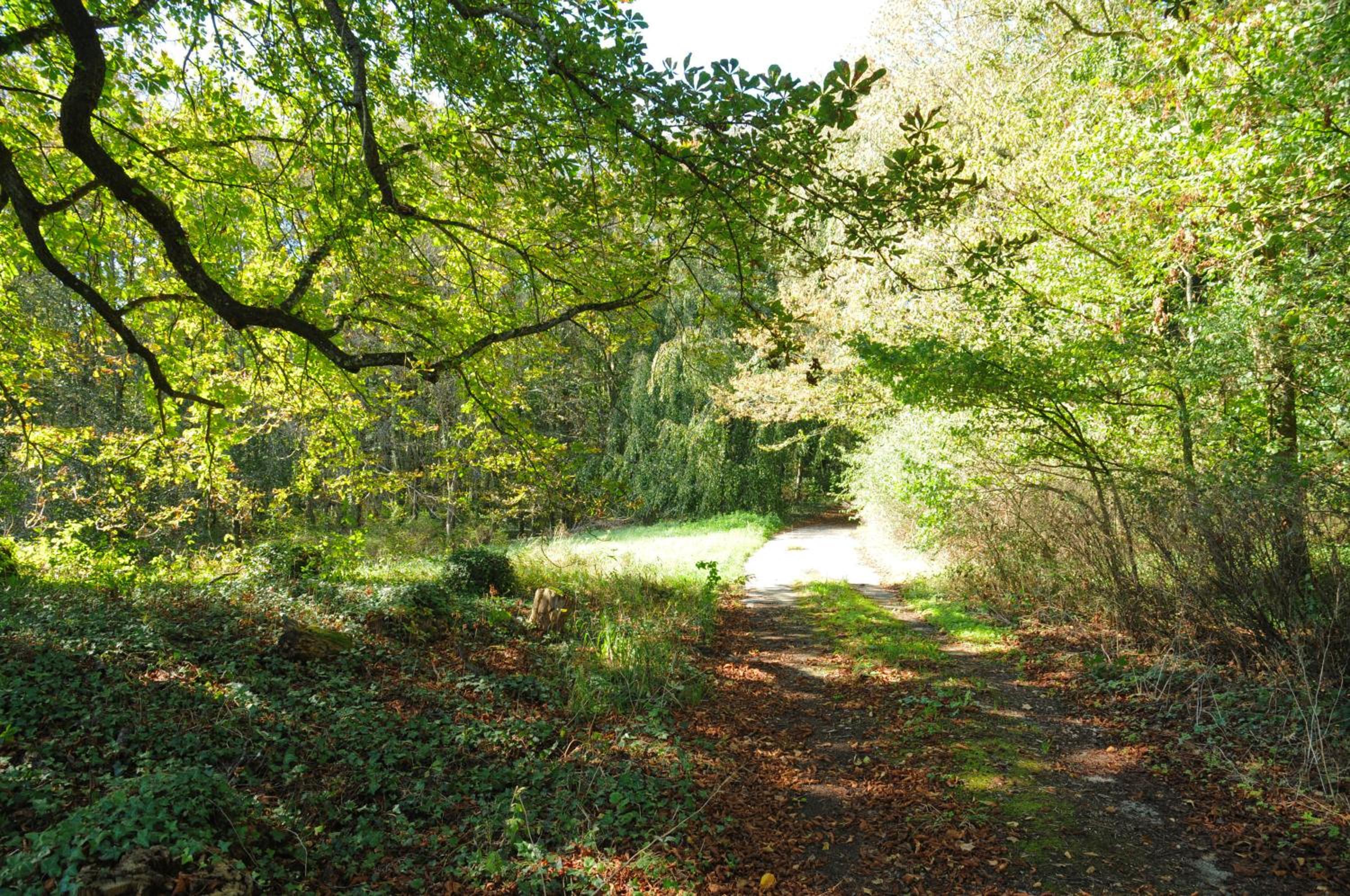 La Tour de Serinchamps