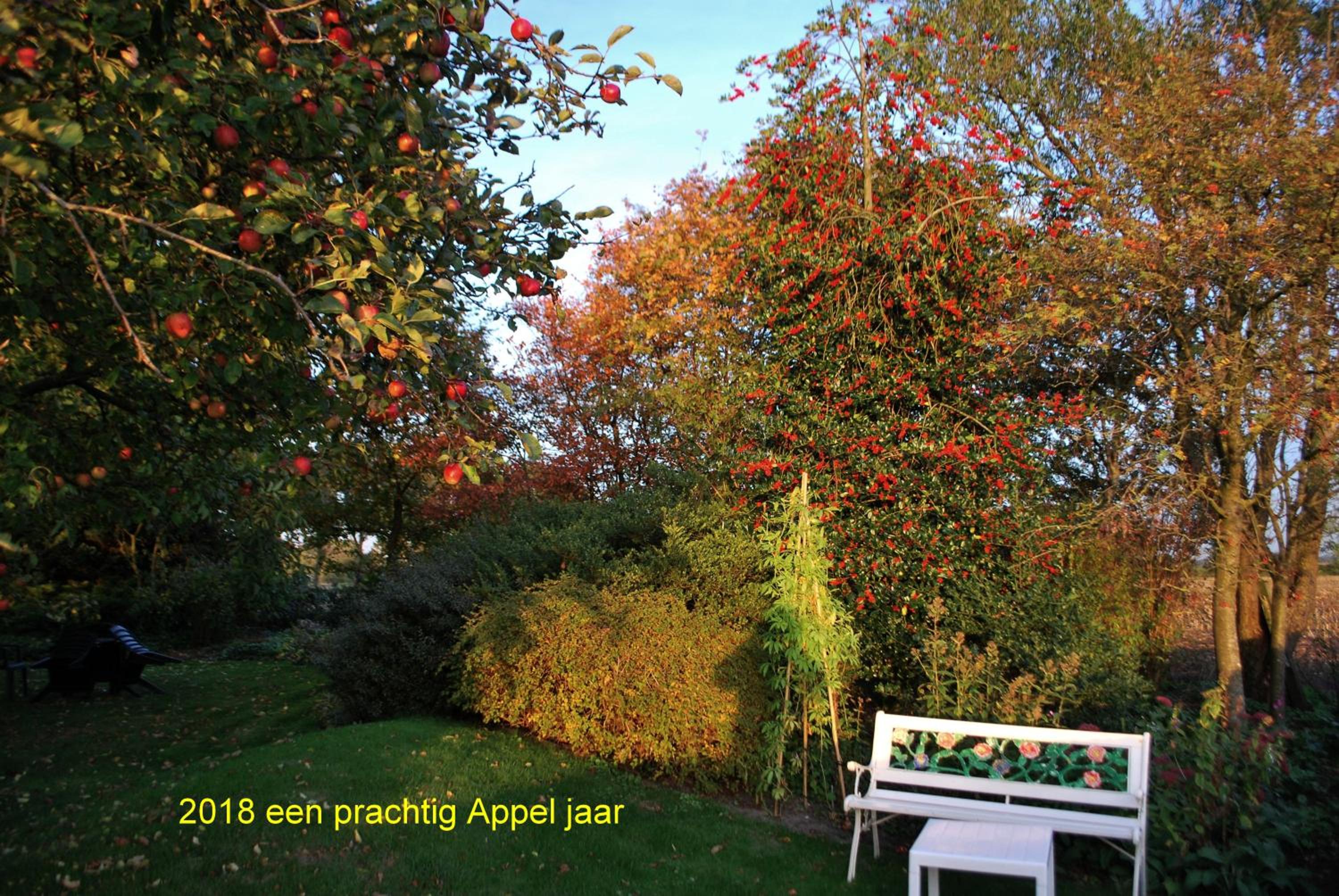 Photo 43