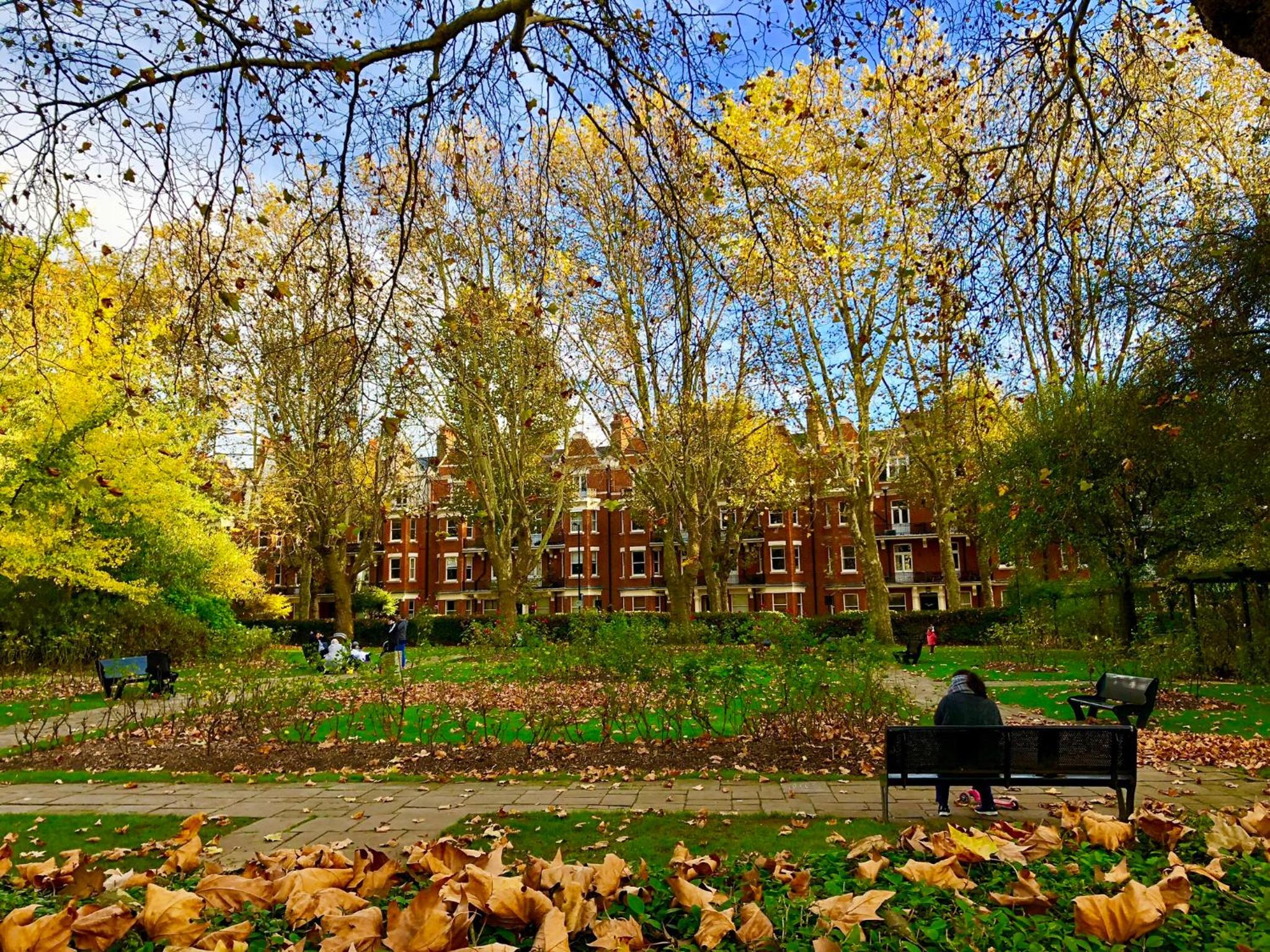 Luxury apartment in Central London, Mida Vale
