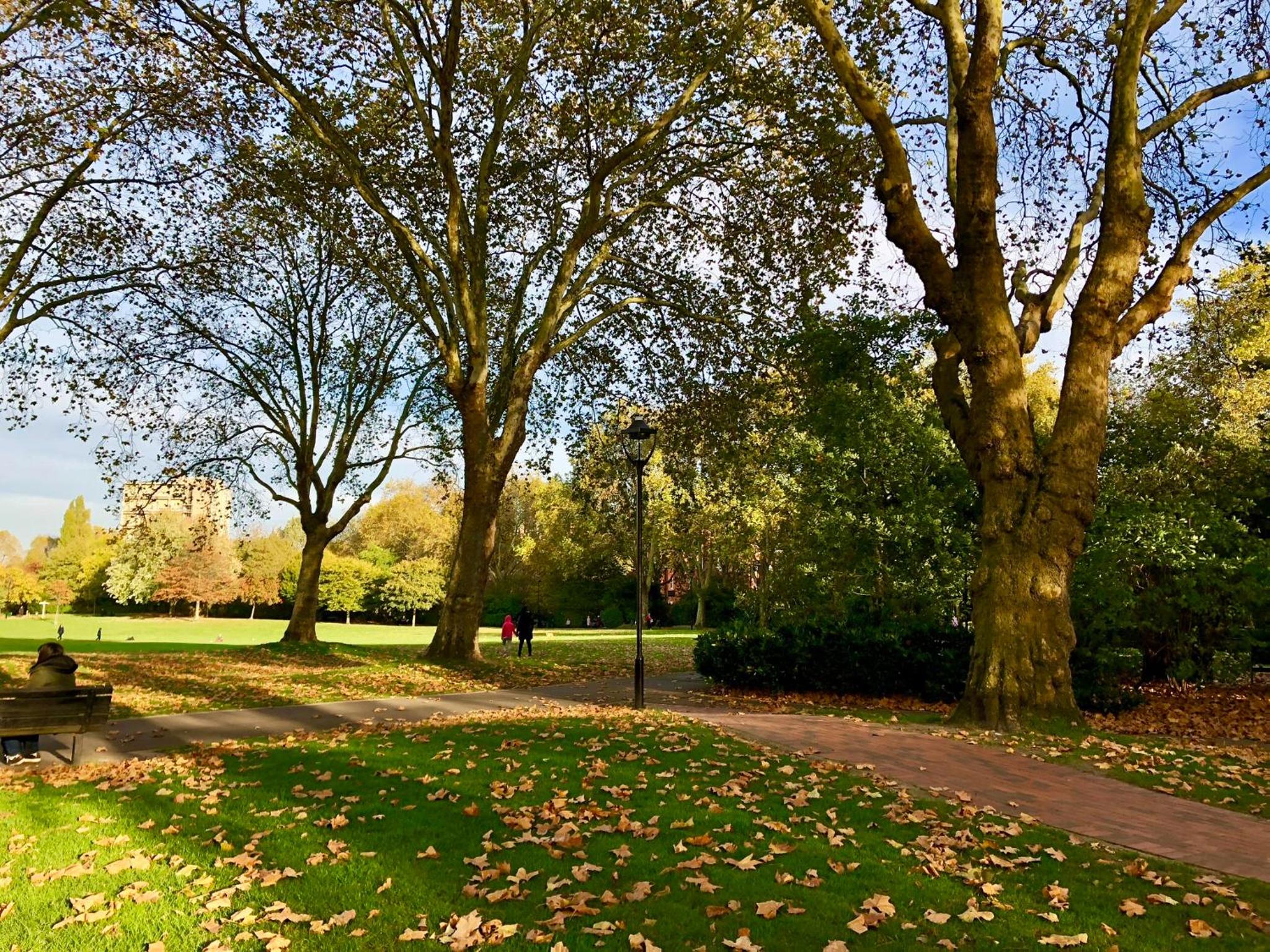 Luxury apartment in Central London, Mida Vale