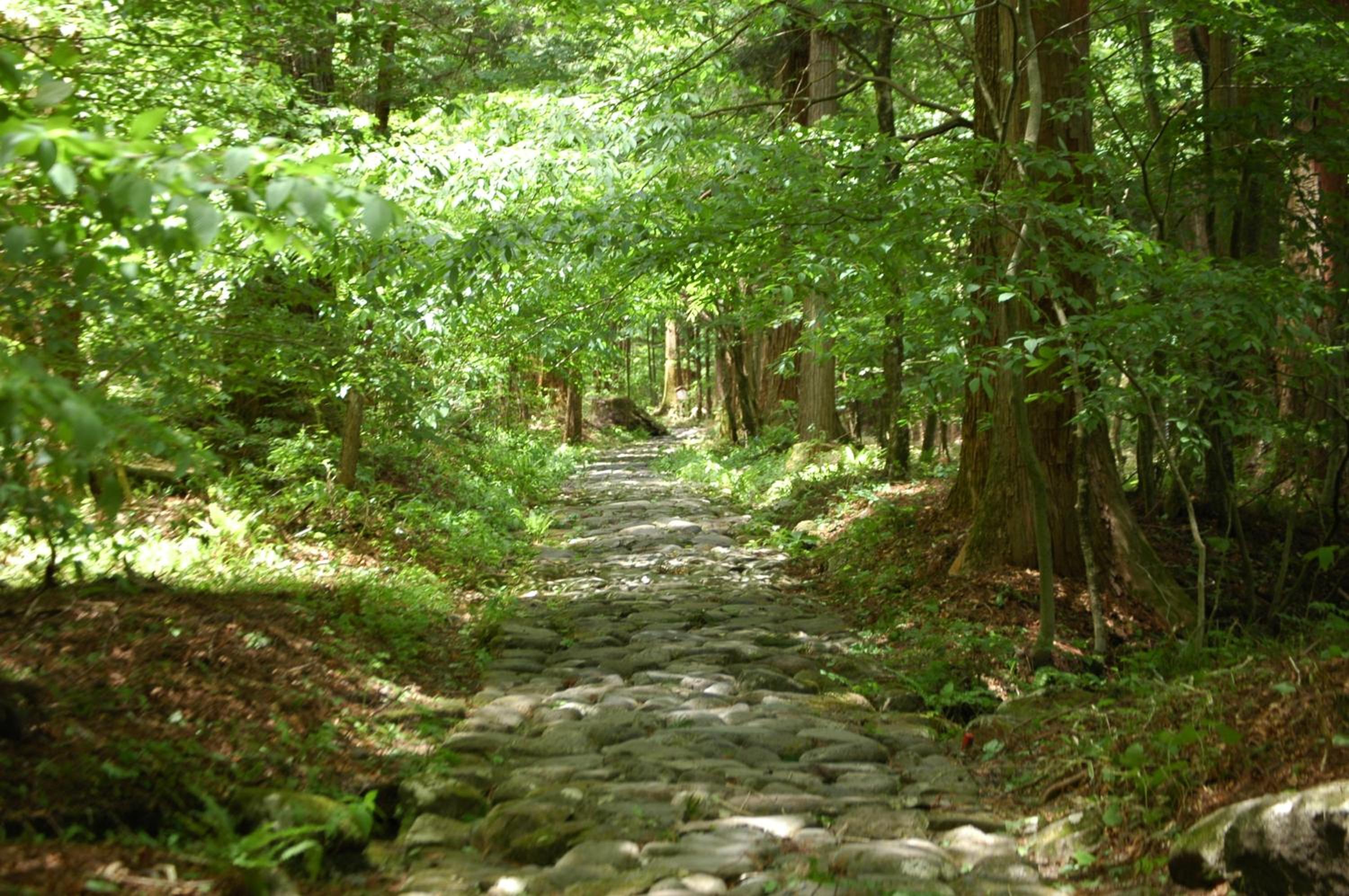 Nikko Pension L'escale