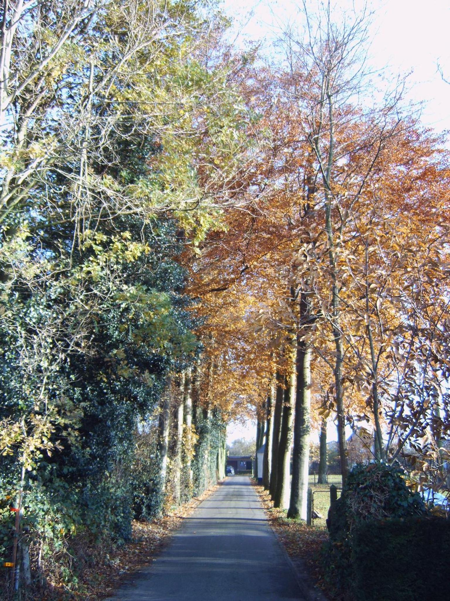 B&B De Kastanjeboom