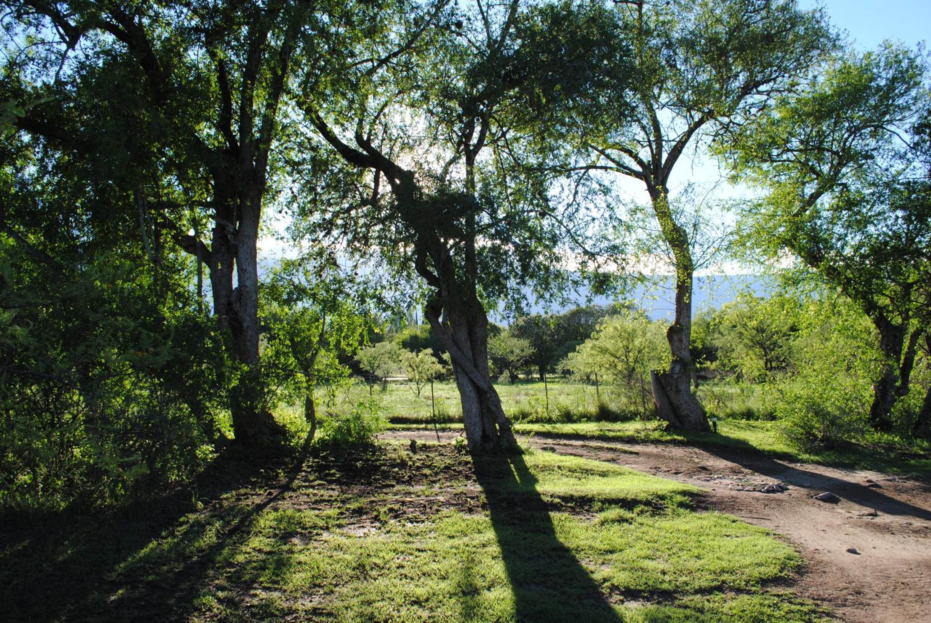 Casas del Champaquí