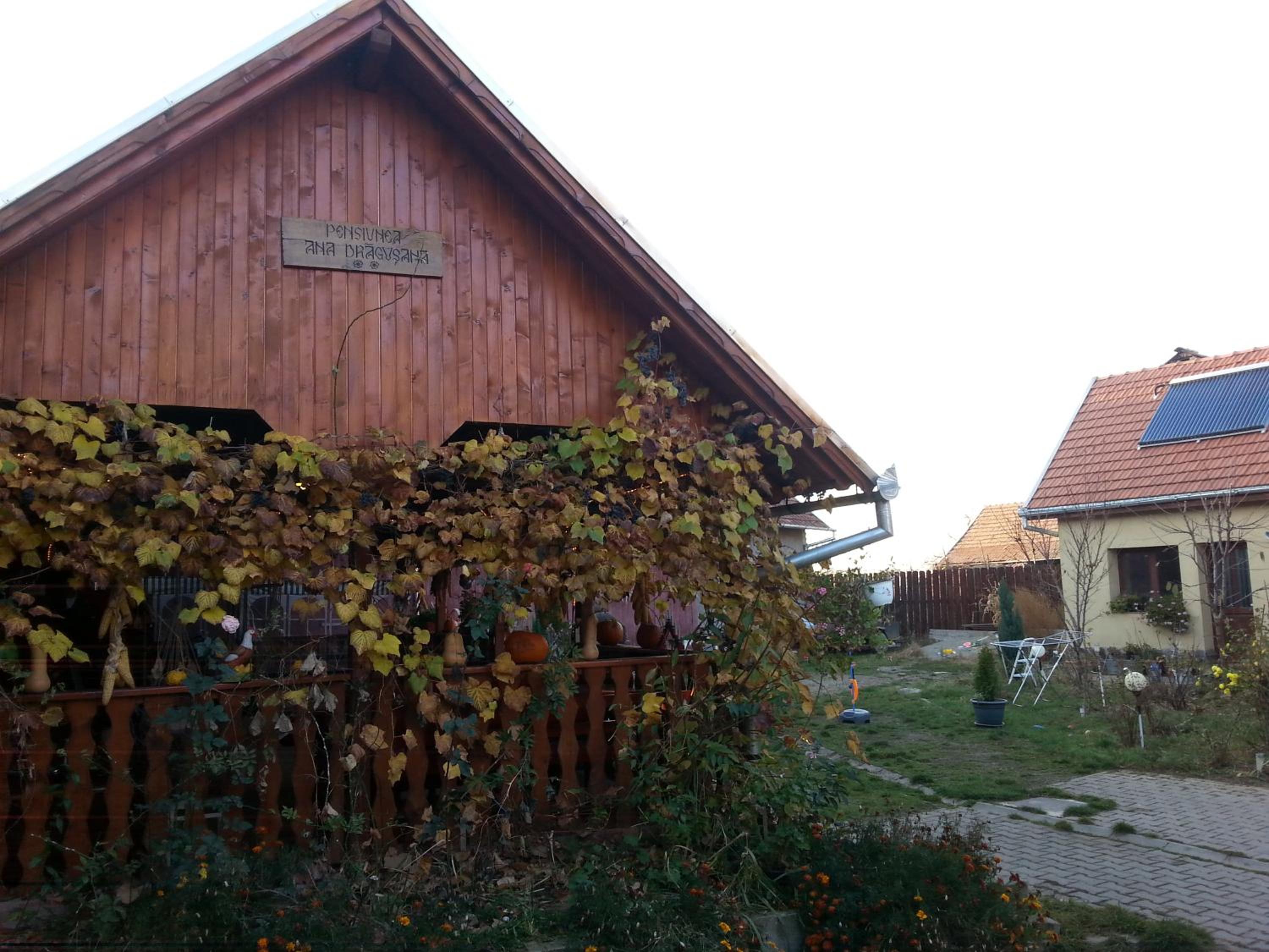 Photo 36