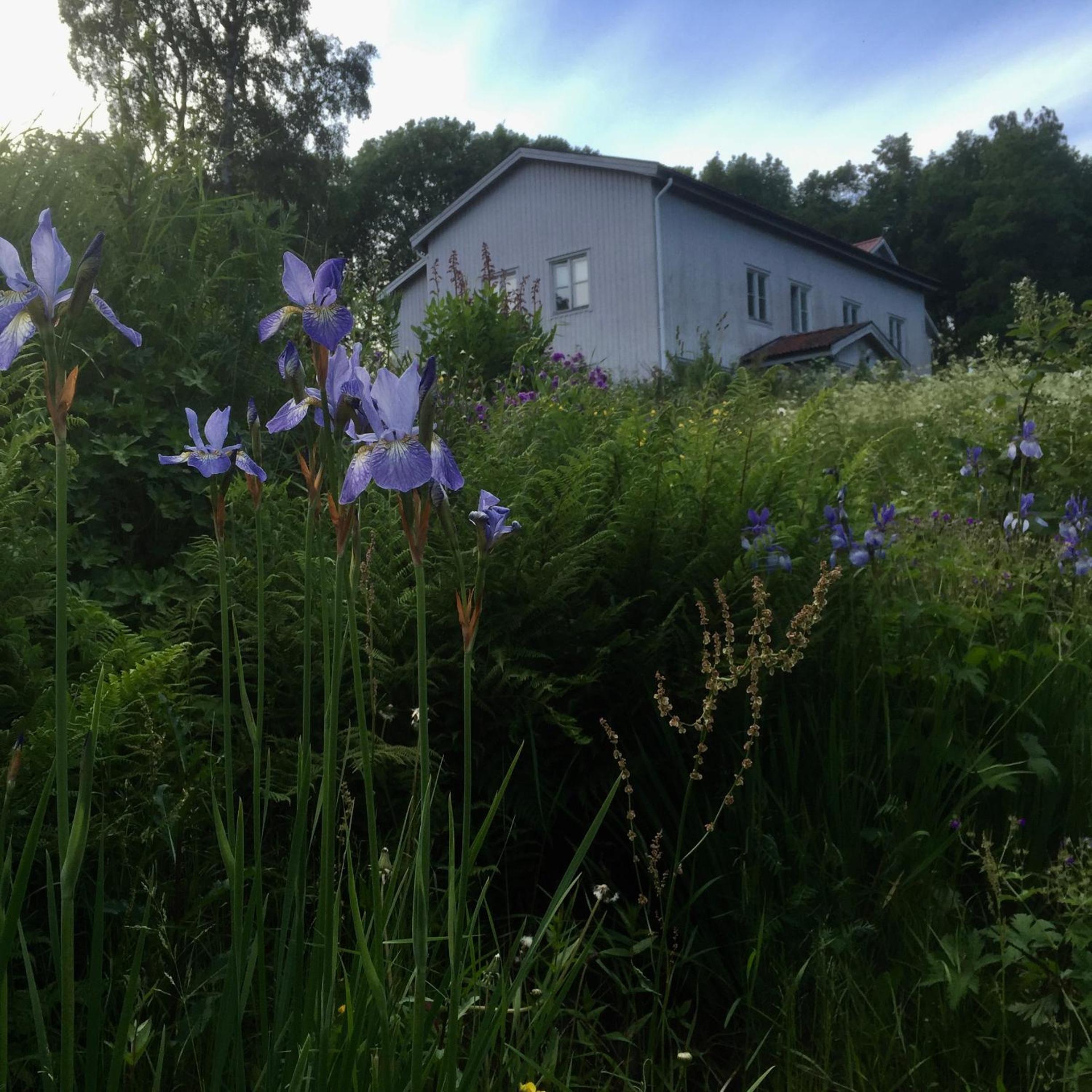 Photo 20