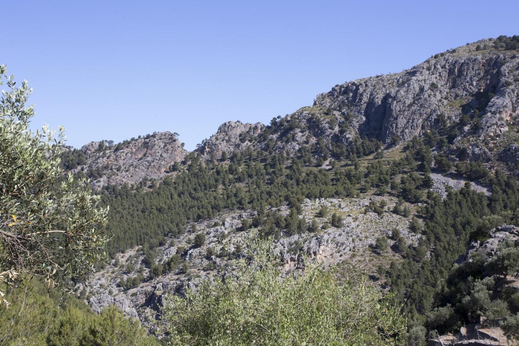 Es Coco Mountain Cottage in Sóller by PriorityVillas photo 4