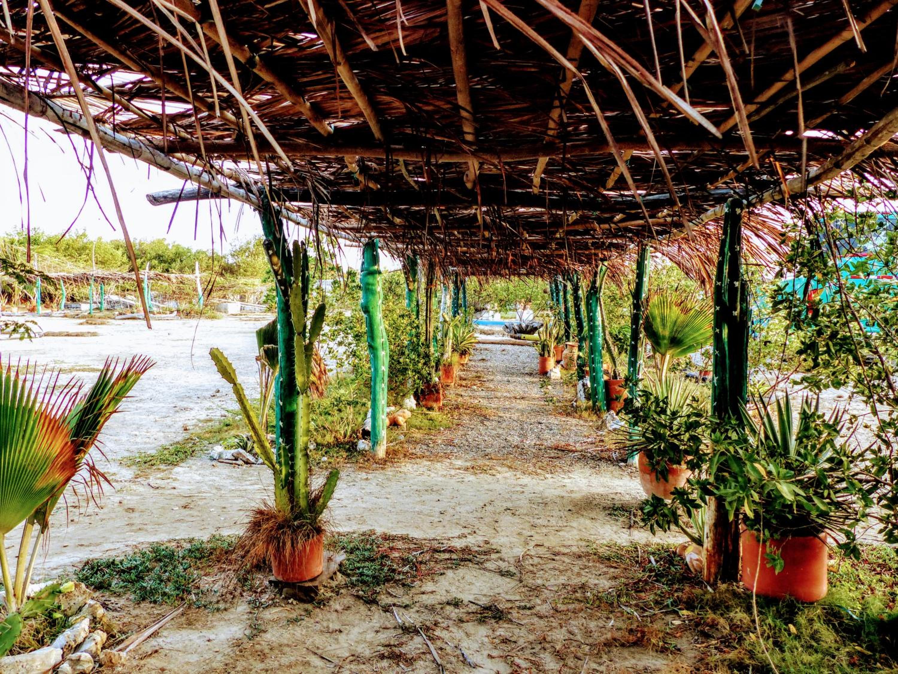 Galerazambahostal