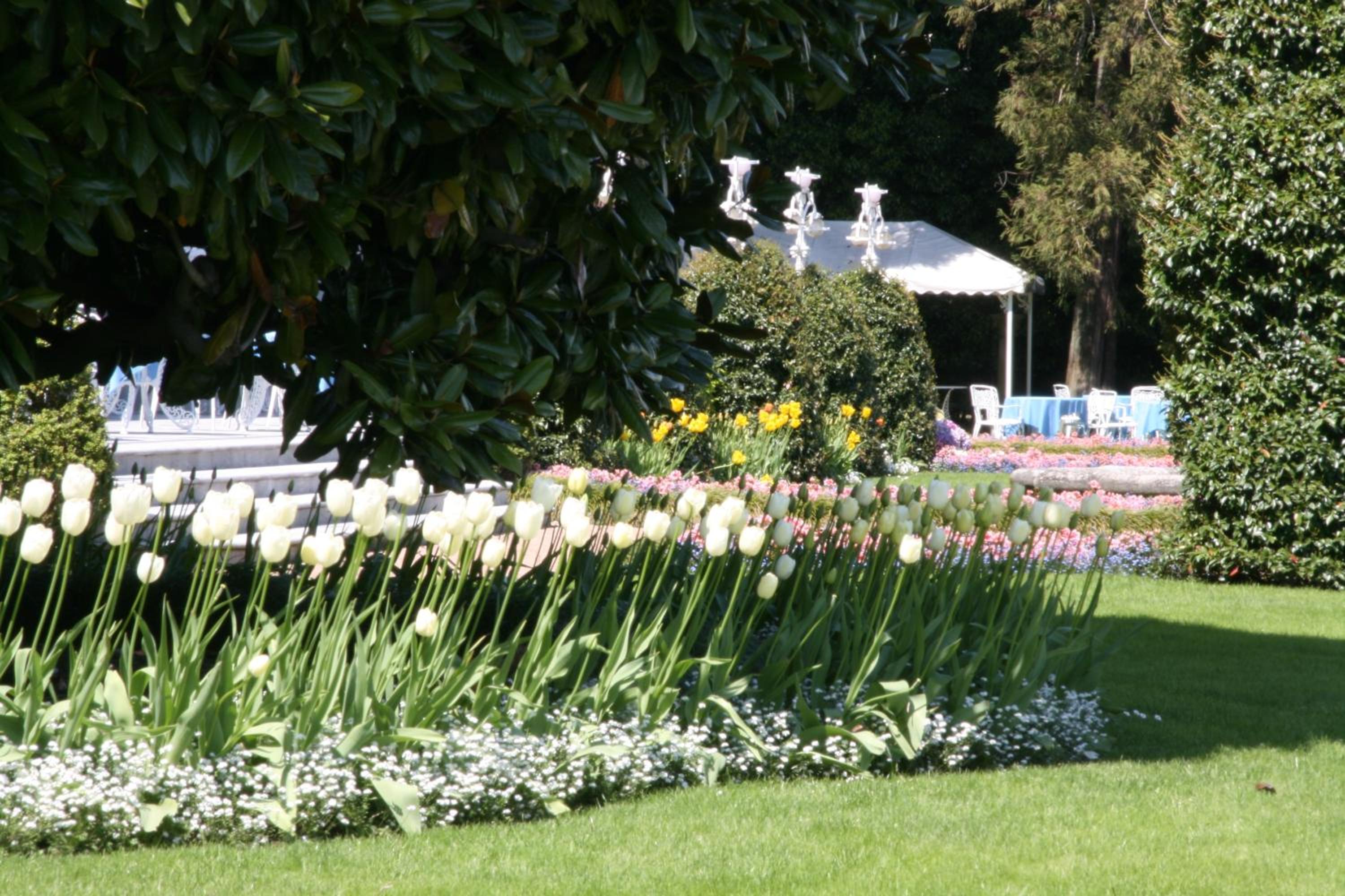 Stresa Vacations - Grand Hotel des Iles Borromees  SPA - Property Image 3