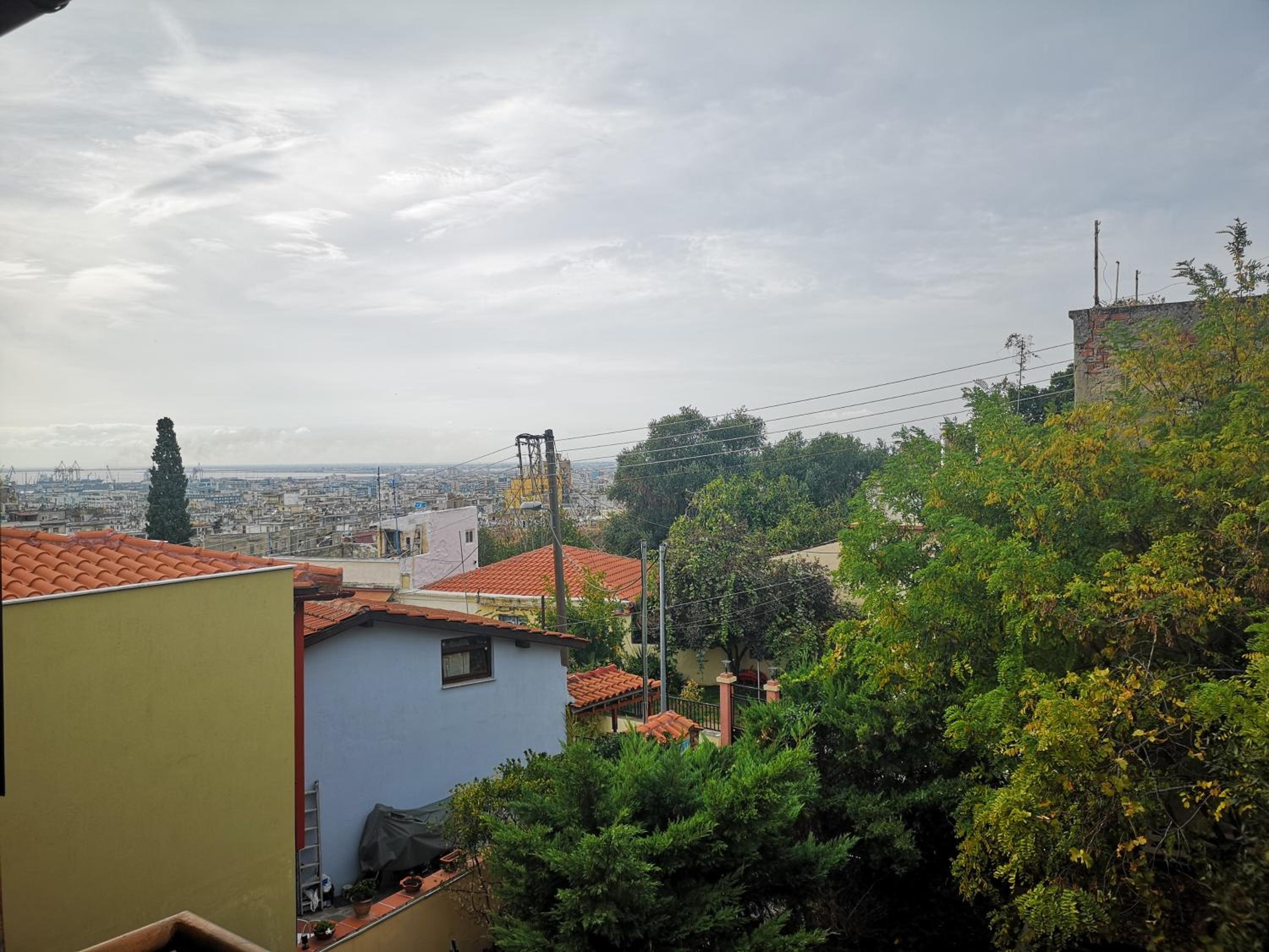 Studios Arabas