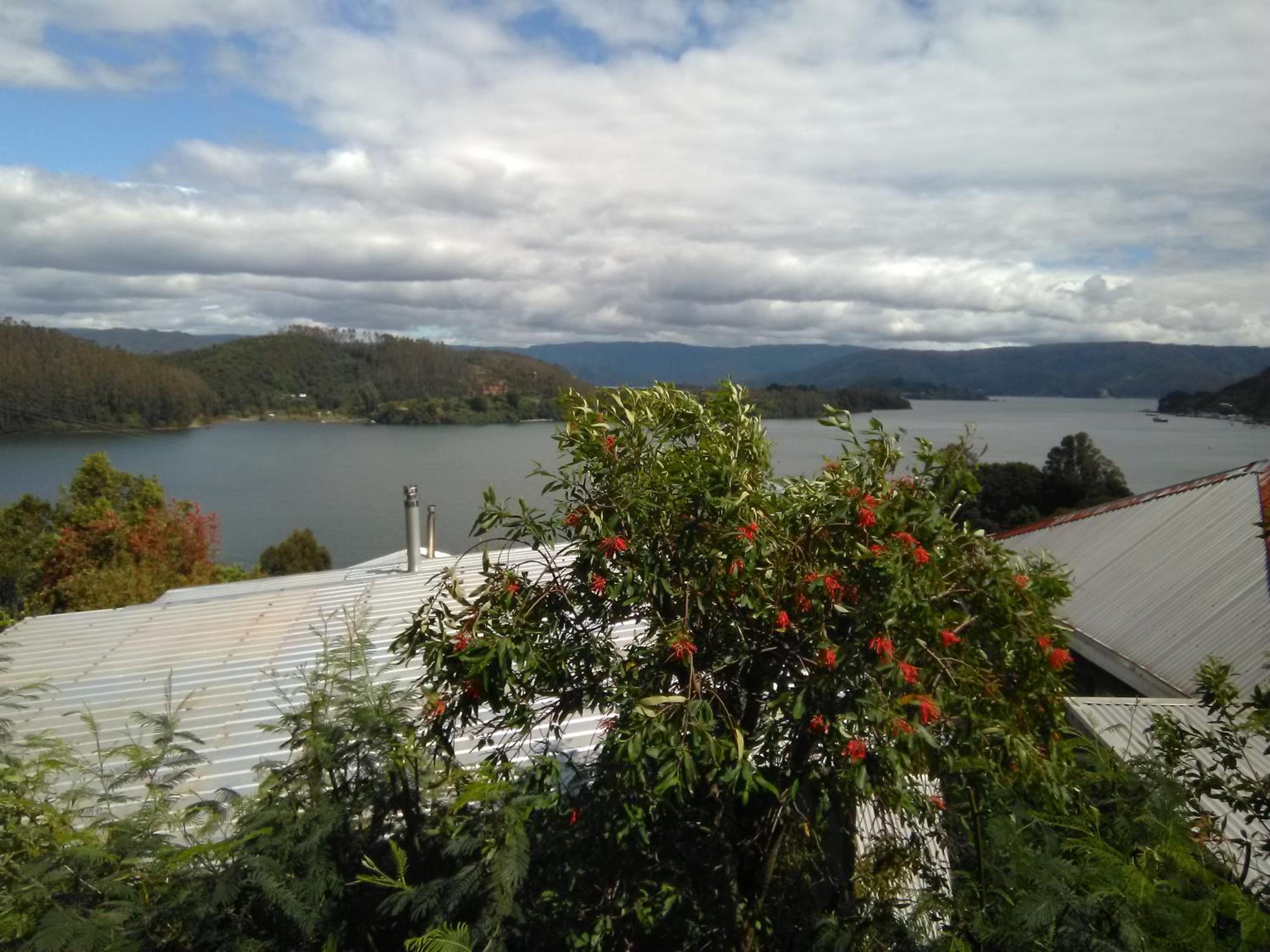 Cabanas Valdivia - Tres Espinos - camino a Niebla