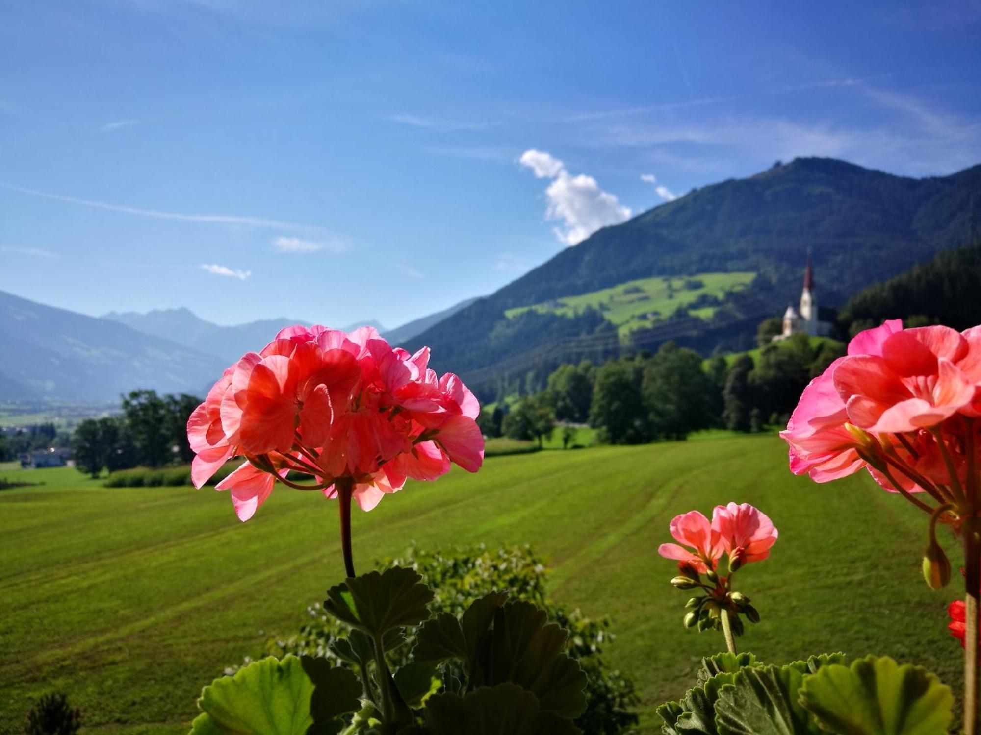Hof Unterhuben