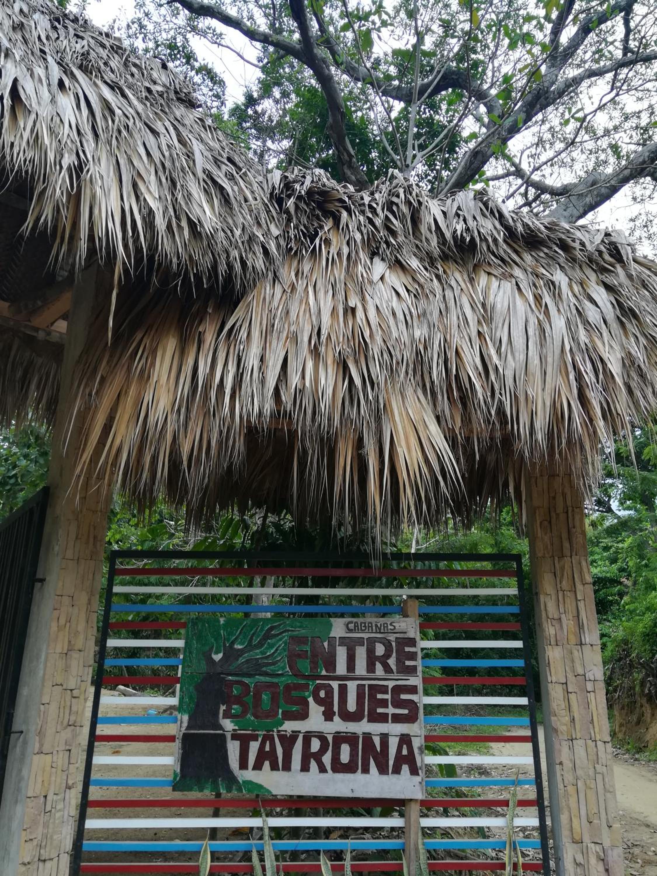 Entre Bosques Tayrona