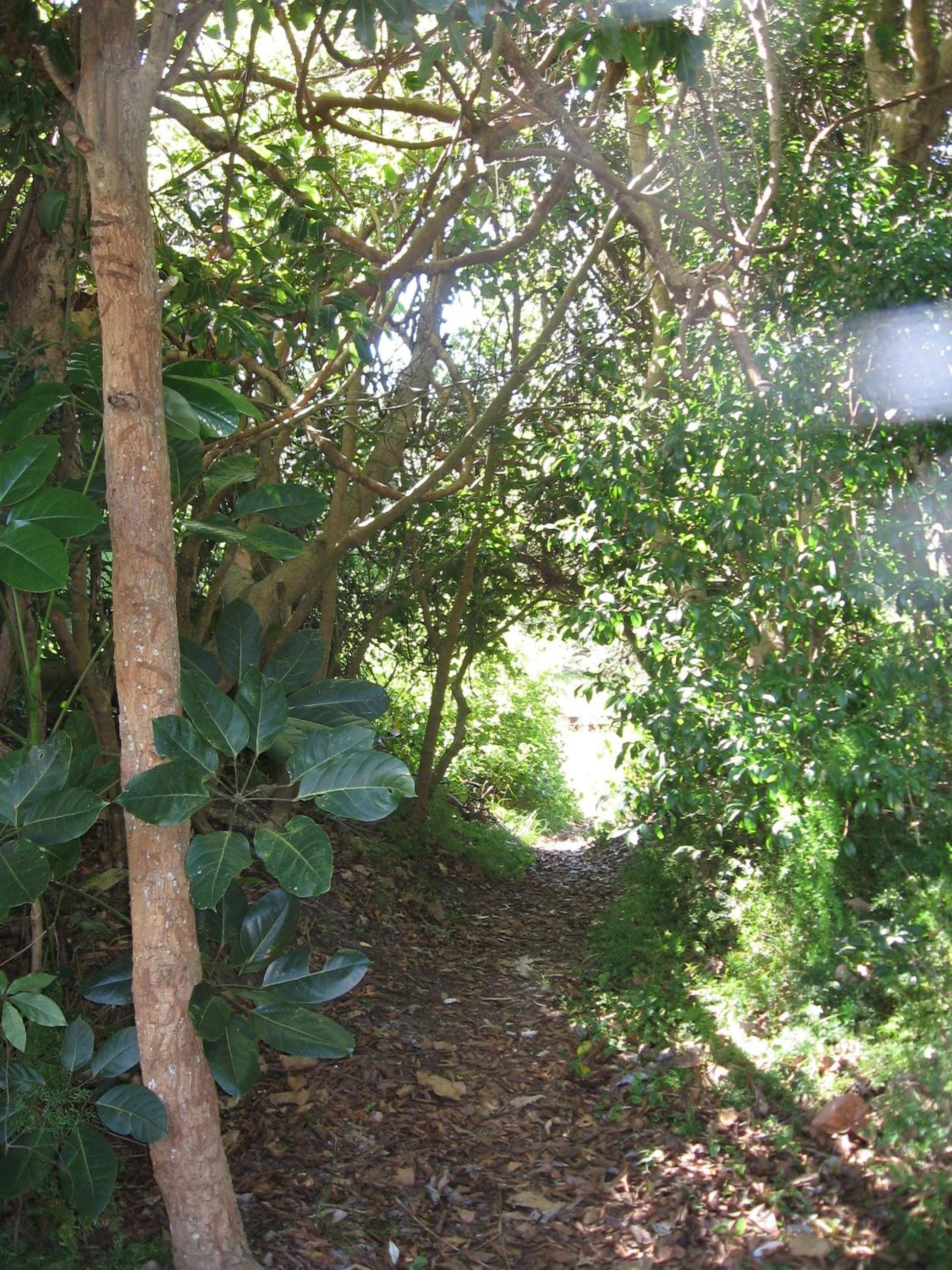 Photo 24
