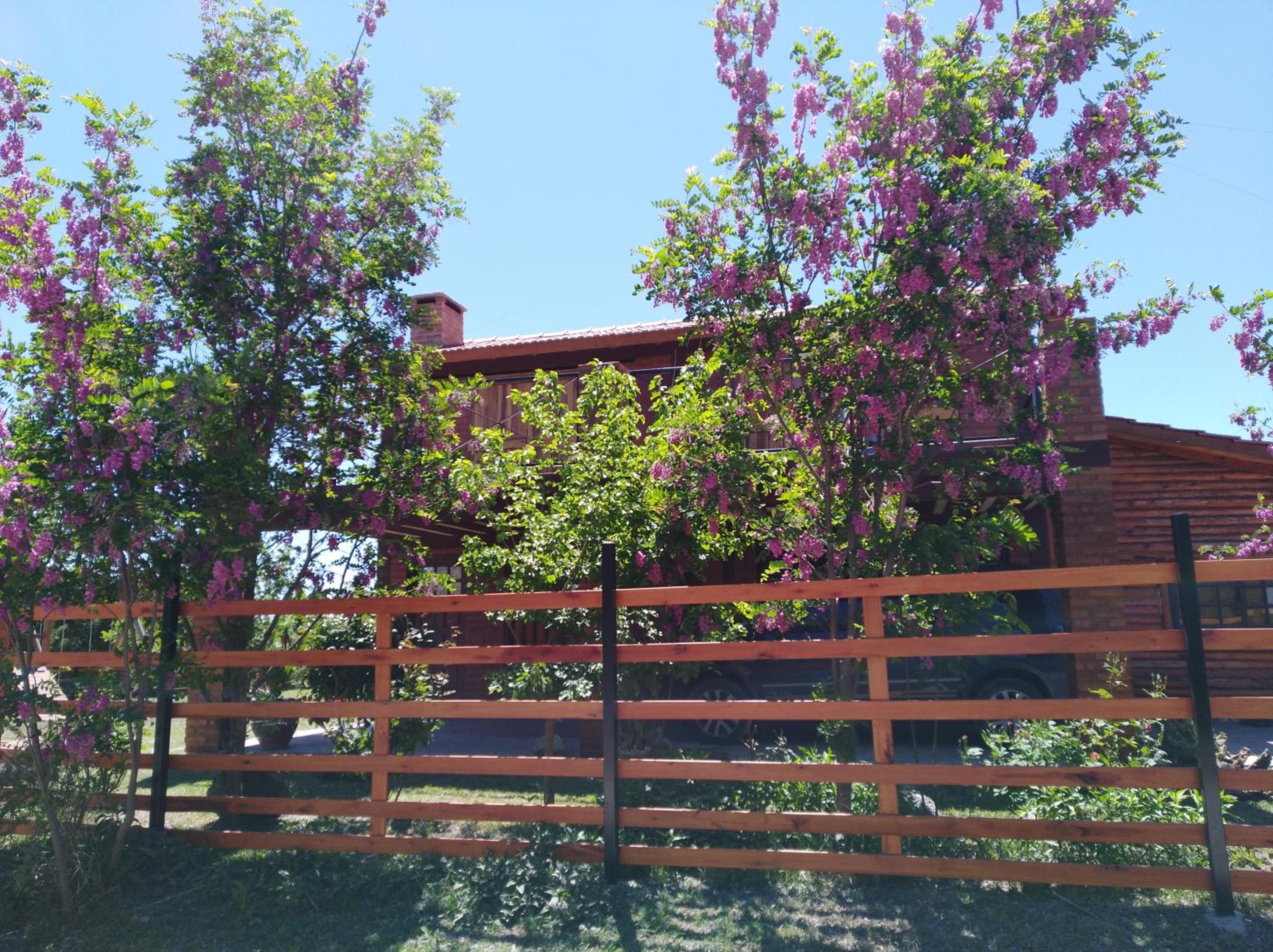 Cabañas Abigail
