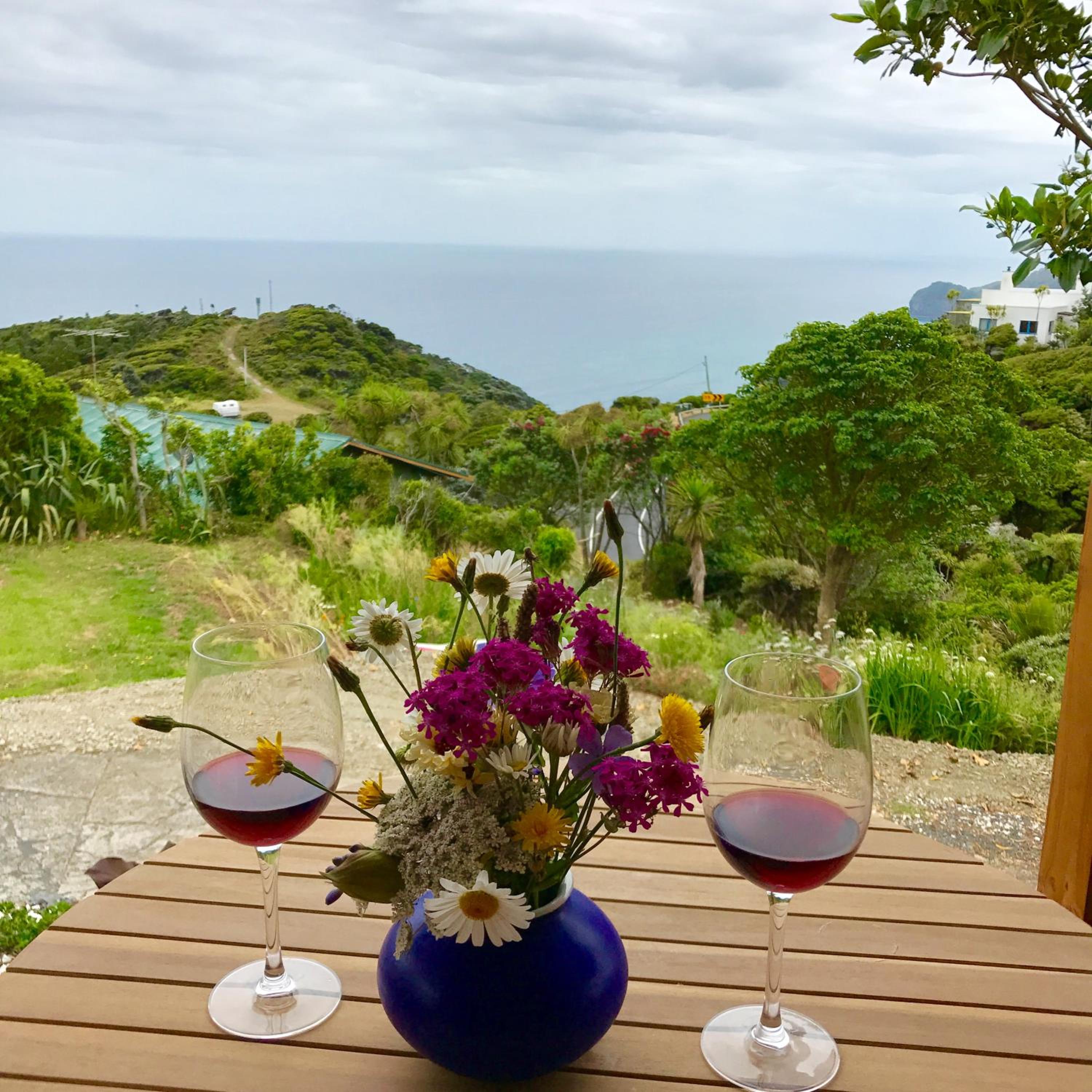Piha Tiny House view 3