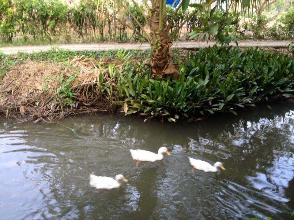 Photo 46