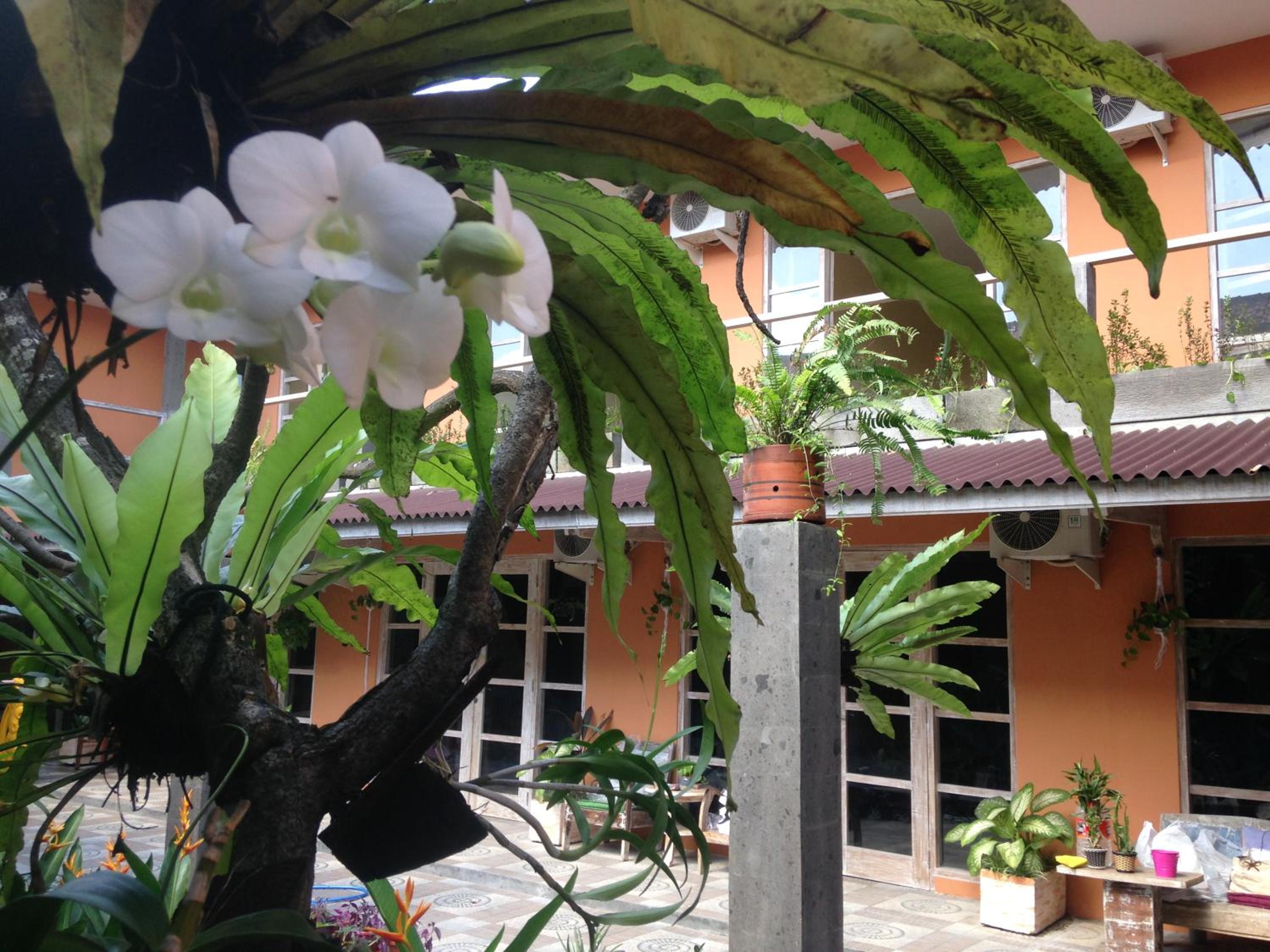 Canggu Pinpoint Rooms