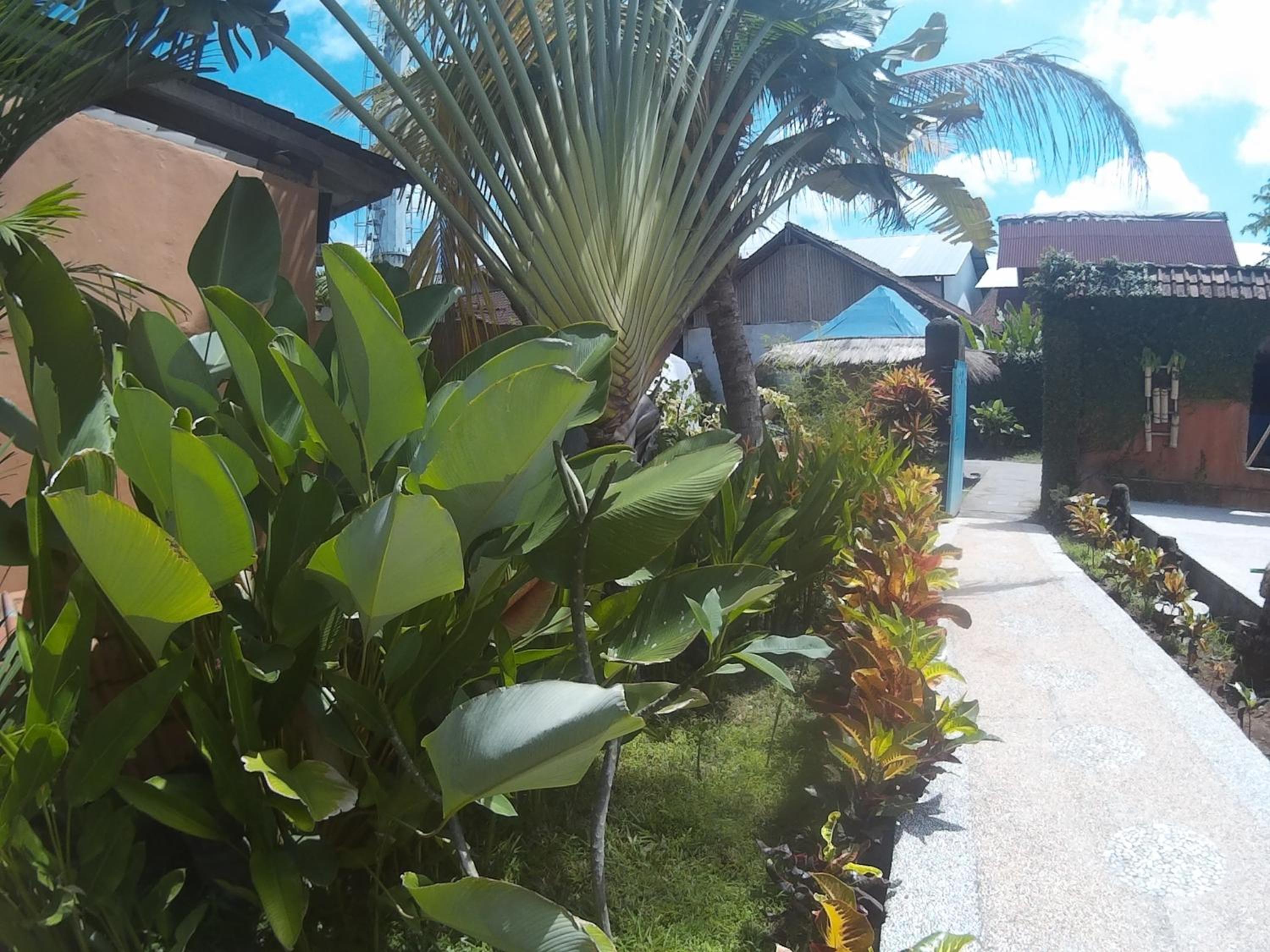 Canggu Pinpoint Rooms