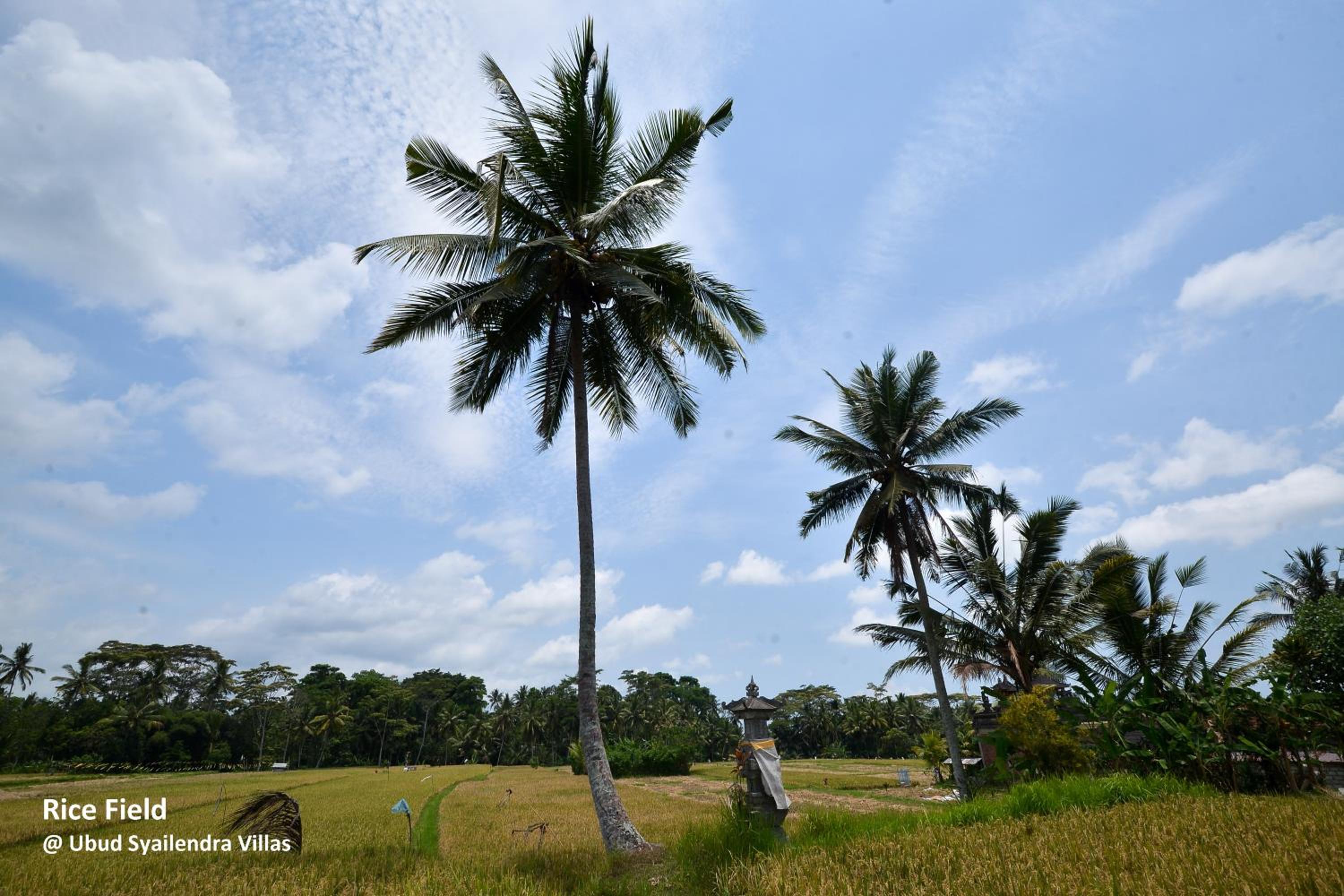 Ubud Syailendra Villas
