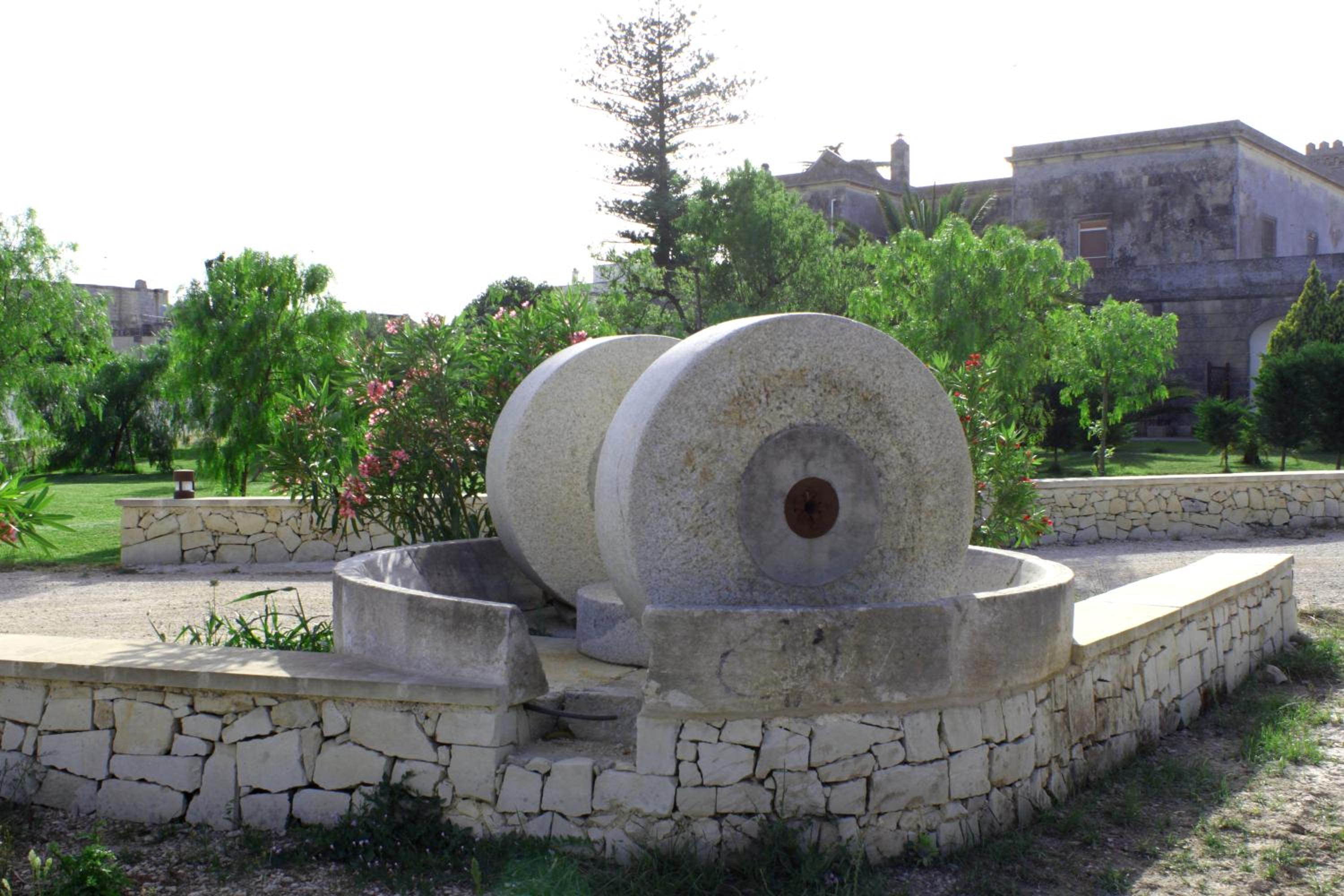 Photo 22