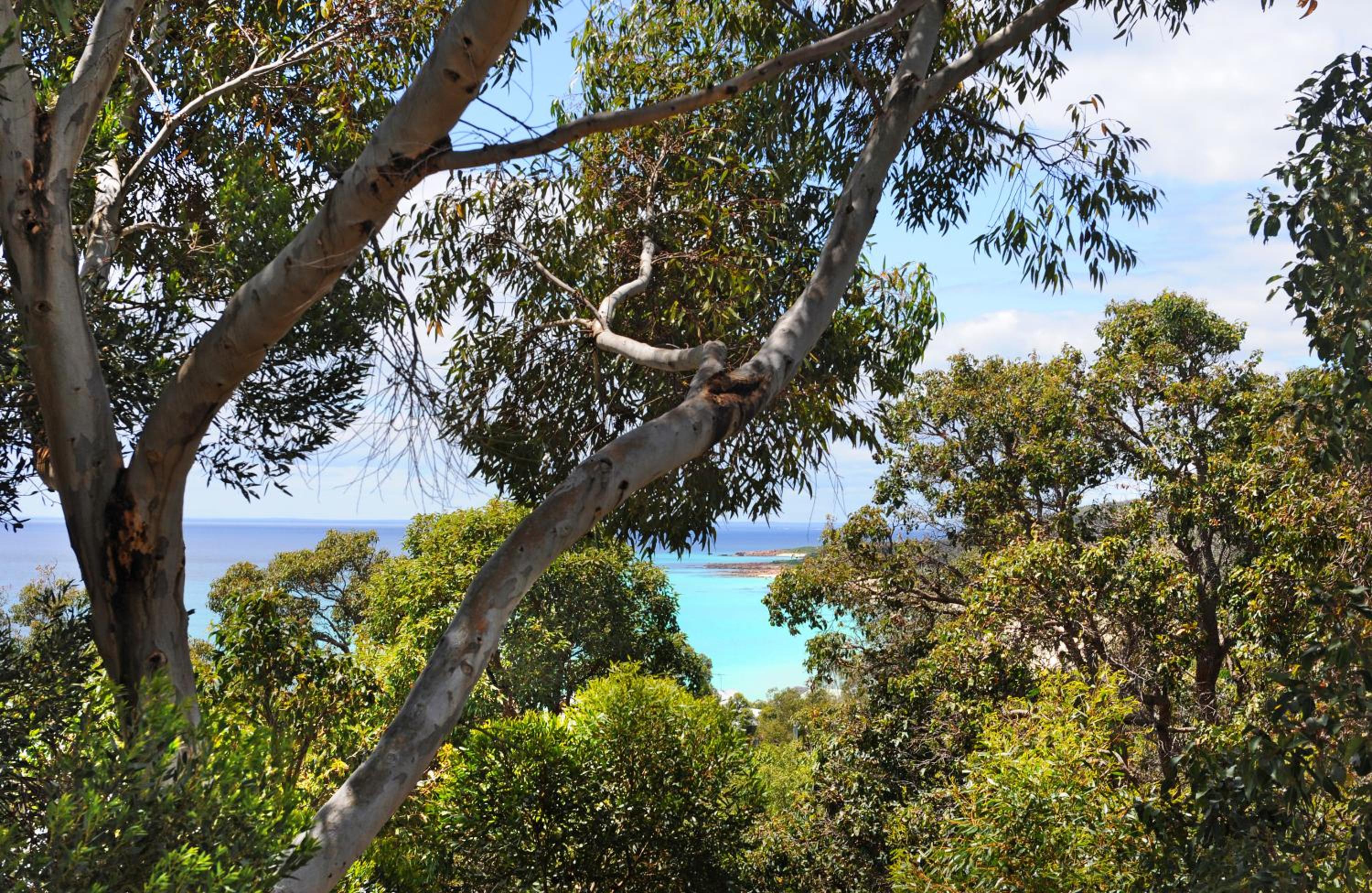 Kestral Ashore