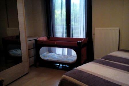 Photo 44