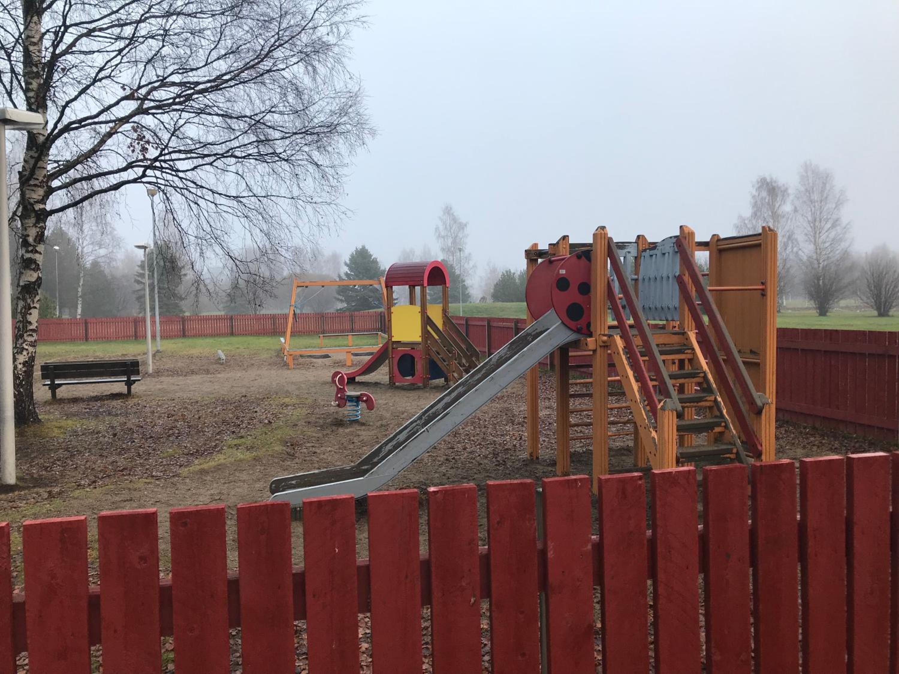 Photo 18