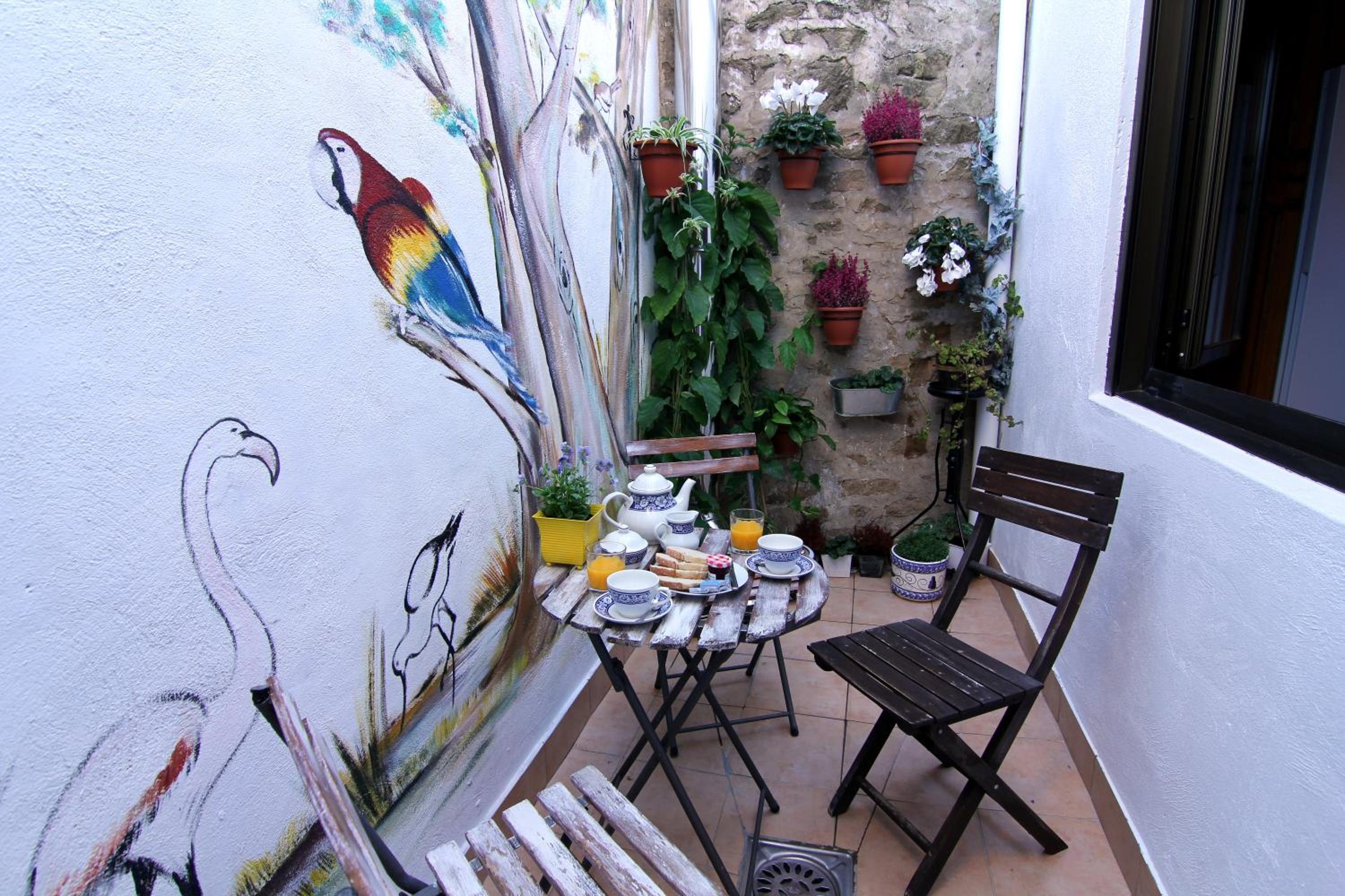 balance & terrace