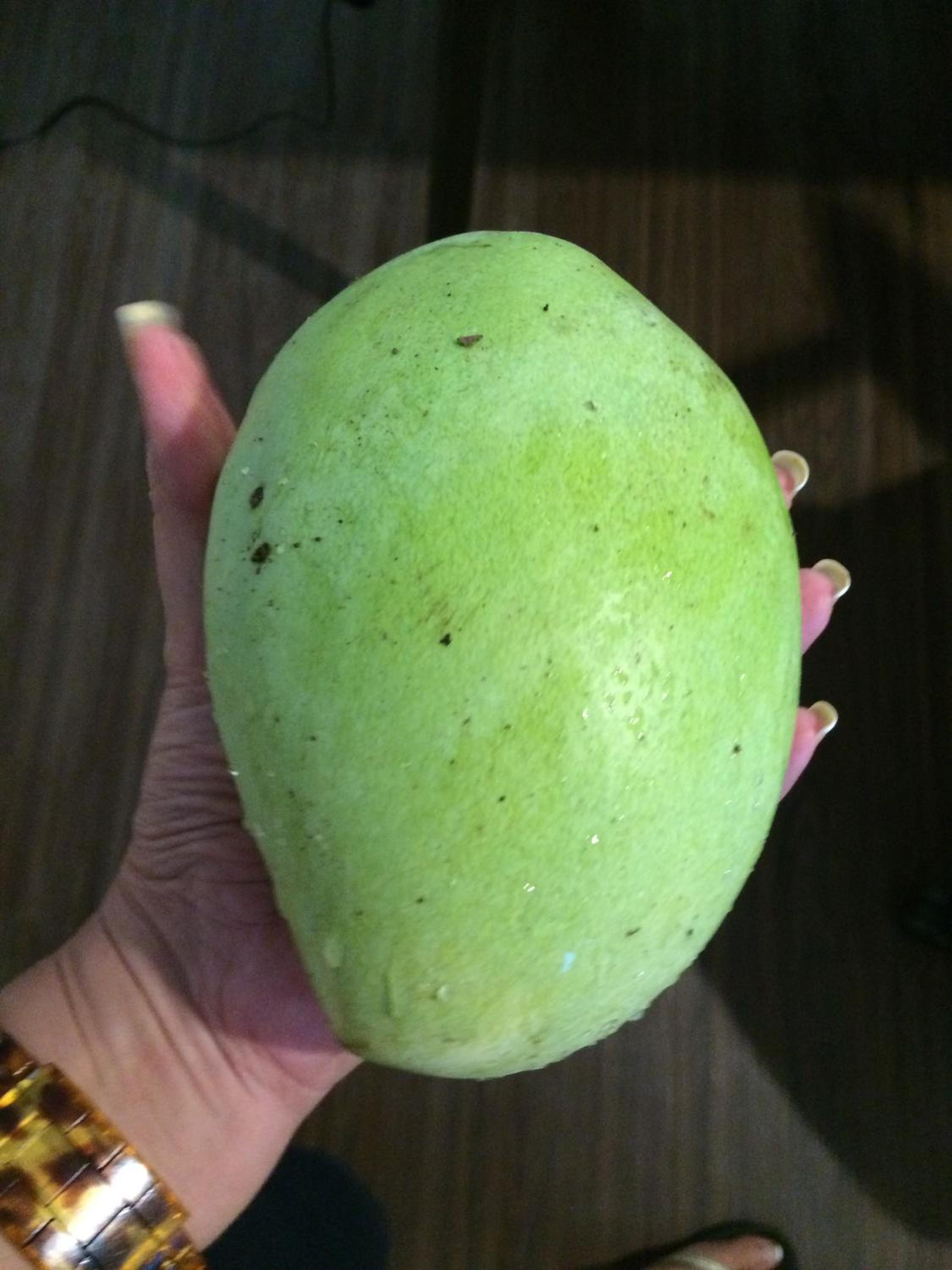 Photo 48