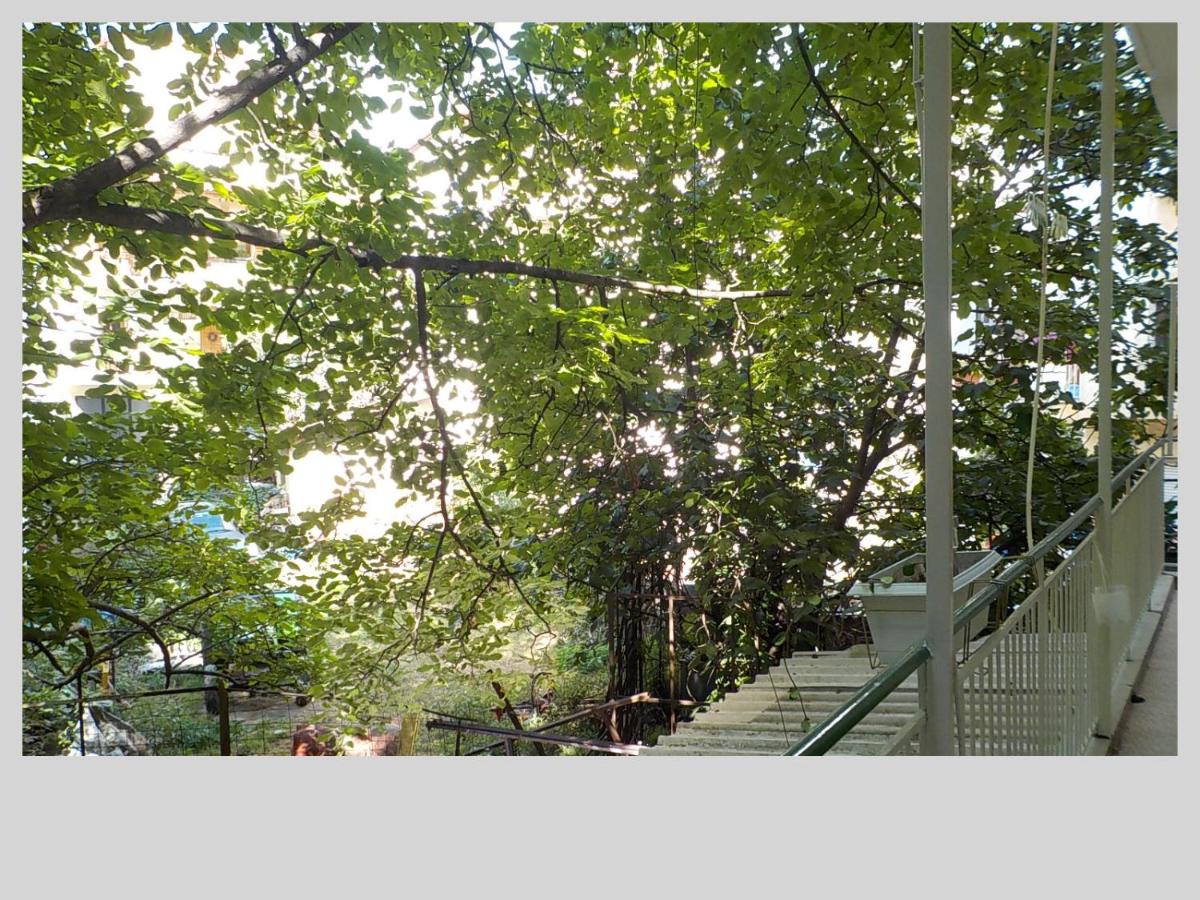 G & G guesthouse photo 3