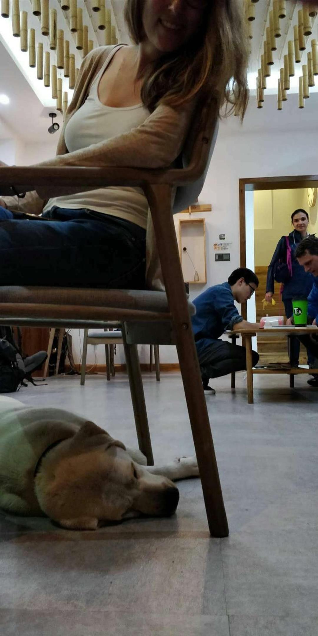 Wally House Hostel - walk 5 minutes to east gate of National Forest Park-ticket book services-free laundry facilities-free capsule coffee-Tour route introd