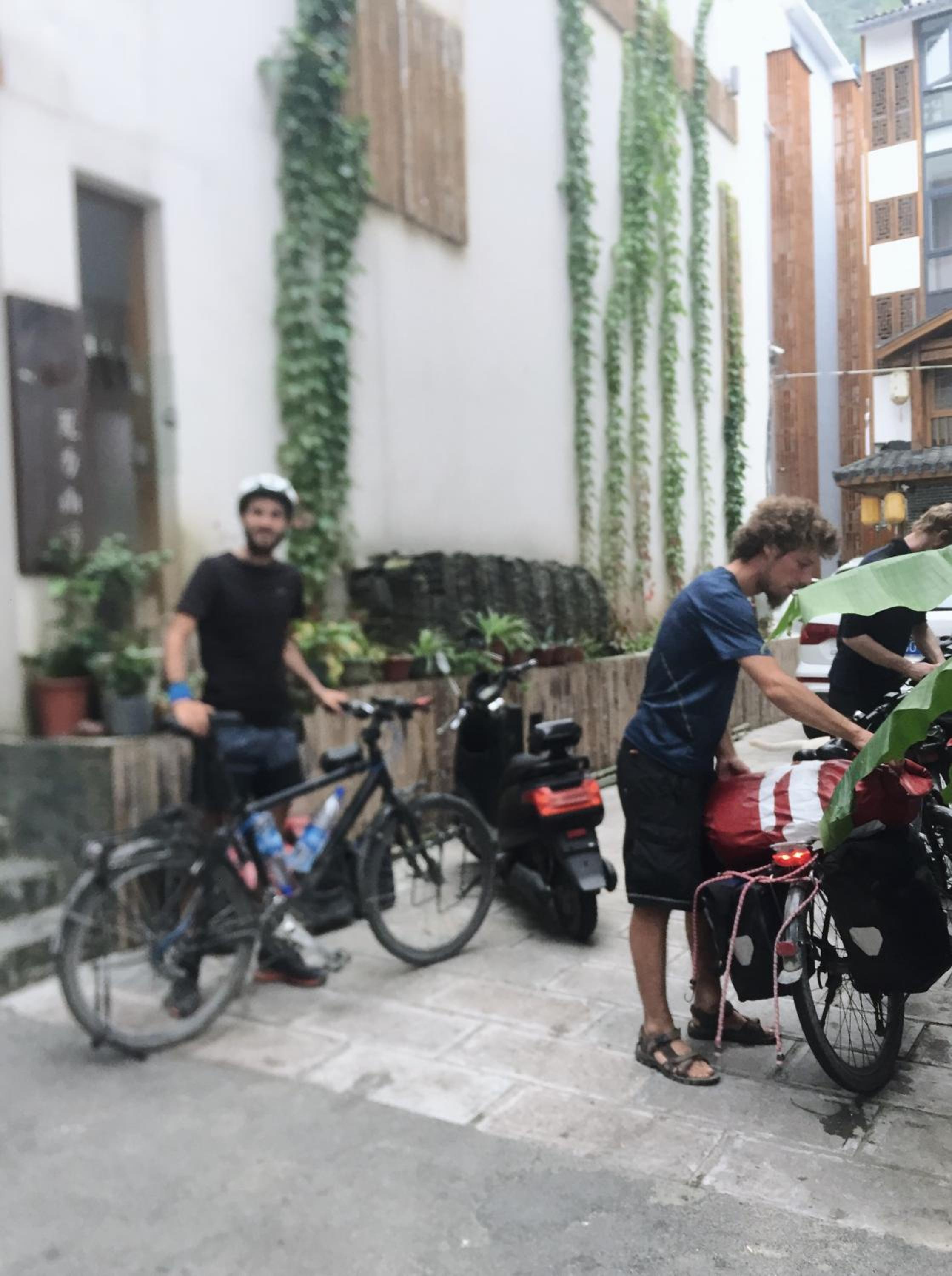 Wally House Hostel - walk 5 minutes to east gate of National Forest Park-ticket book services-free laundry facilities-free capsule coffee-Tour route introd