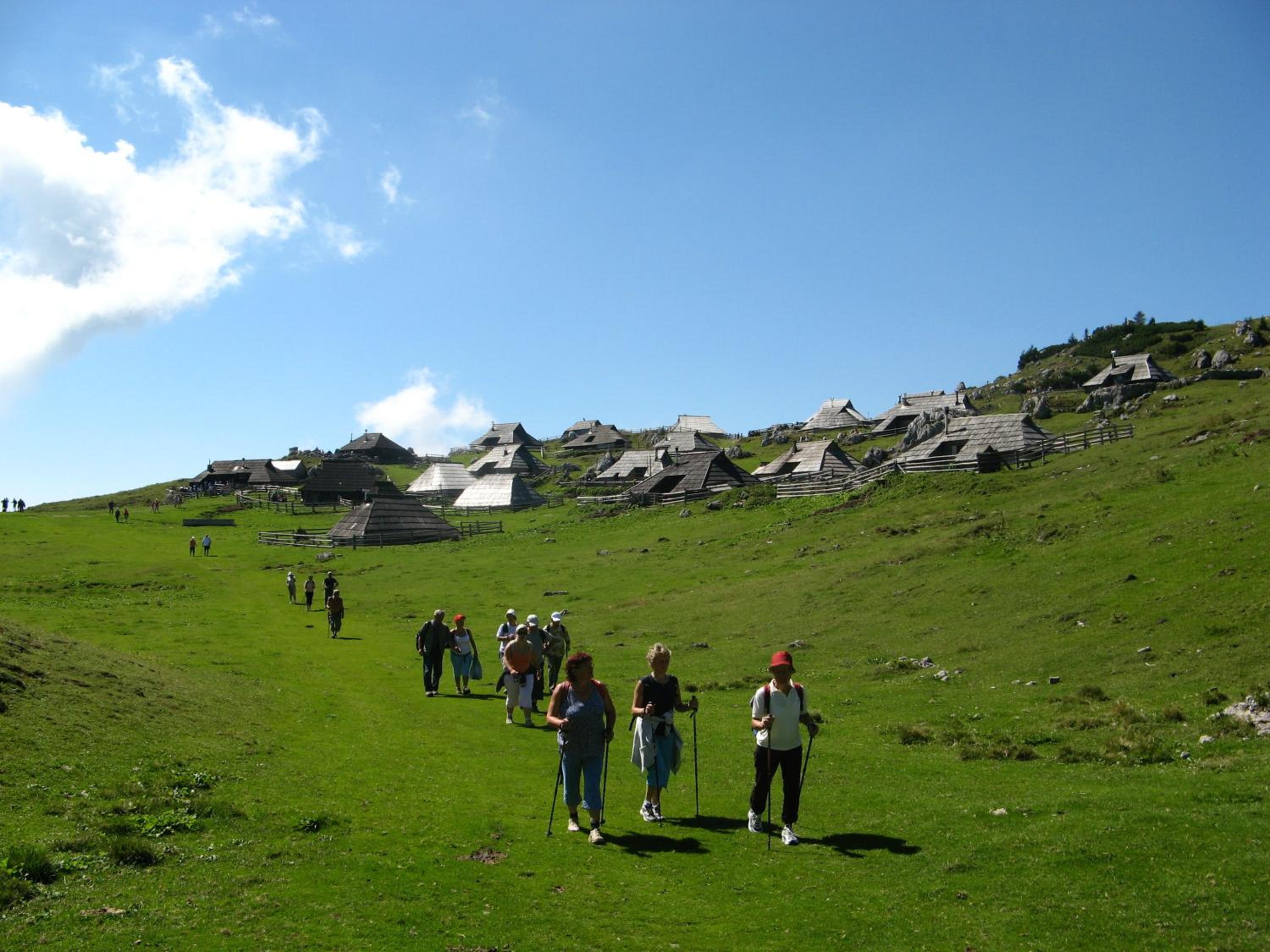 Photo 12