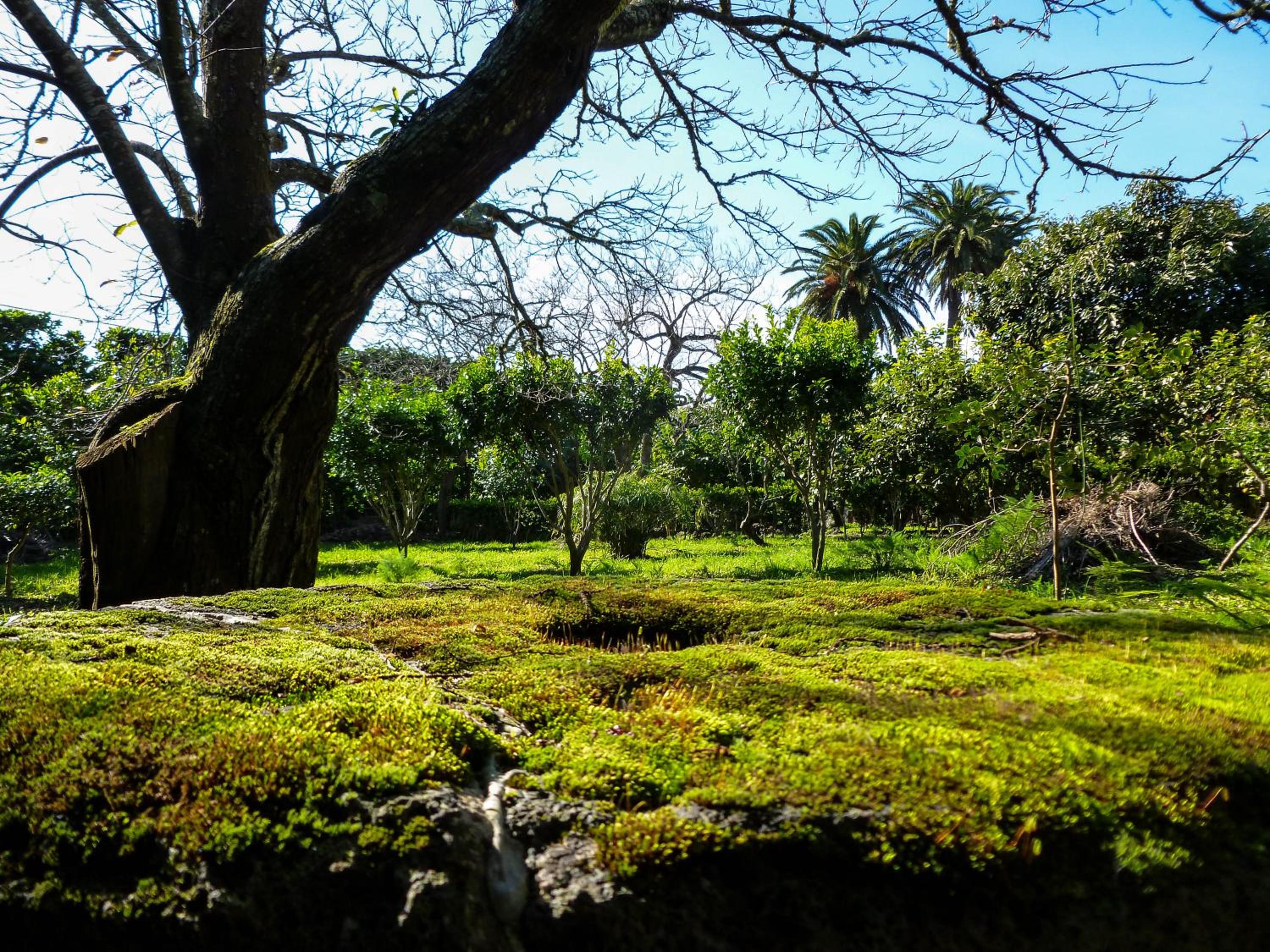 Quinta do Espírito Santo